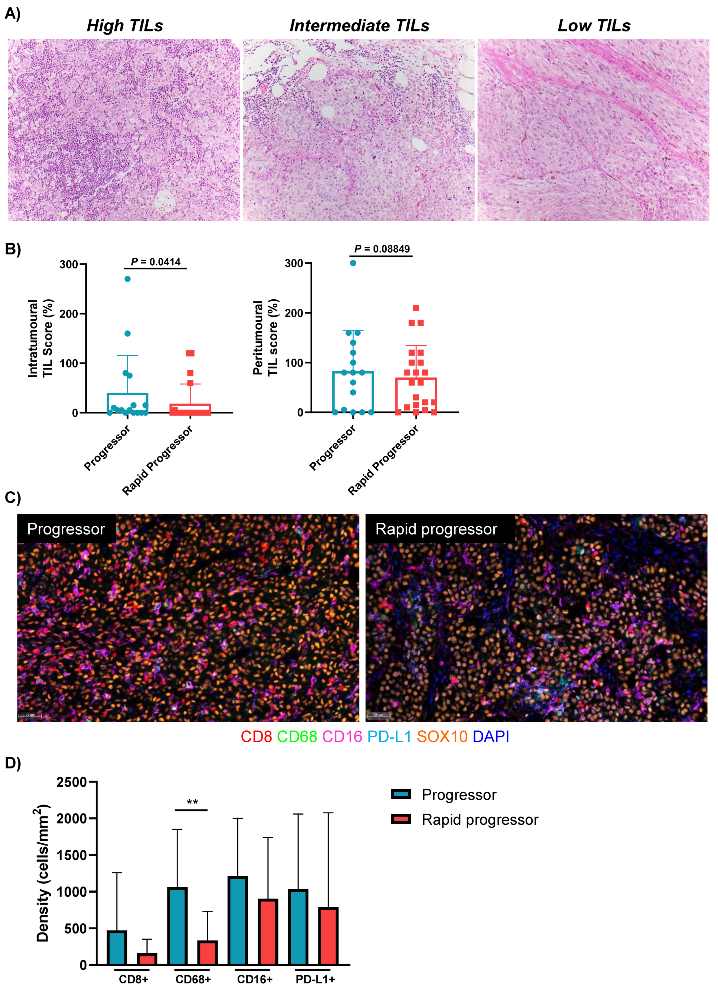 Cancers 13 03186 g002