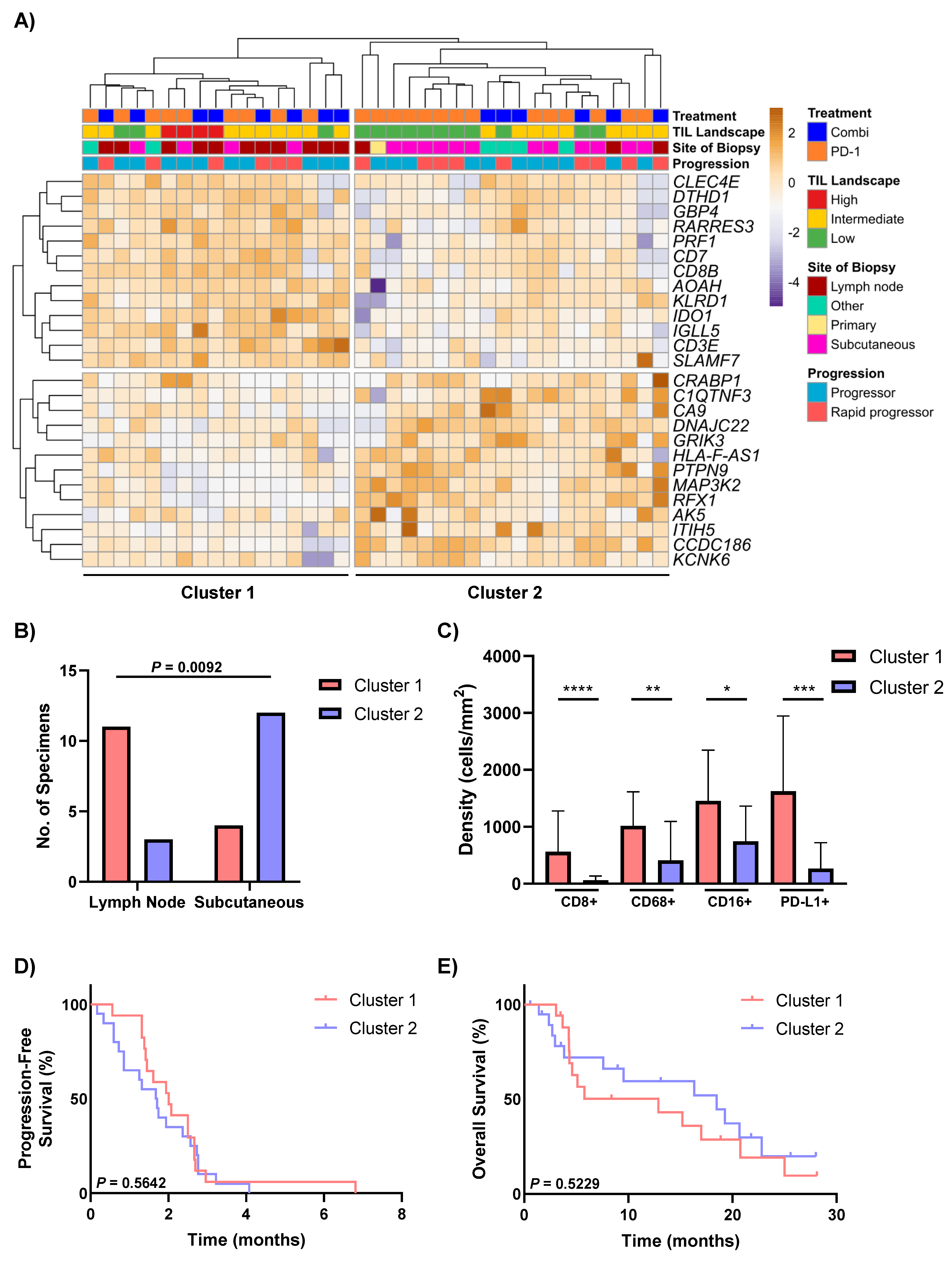 Cancers 13 03186 g003