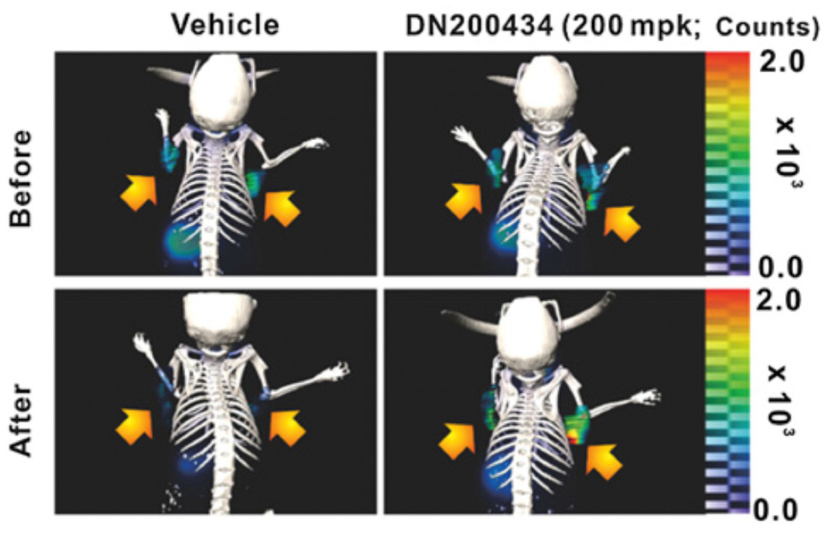 Cancers 13 03188 g002