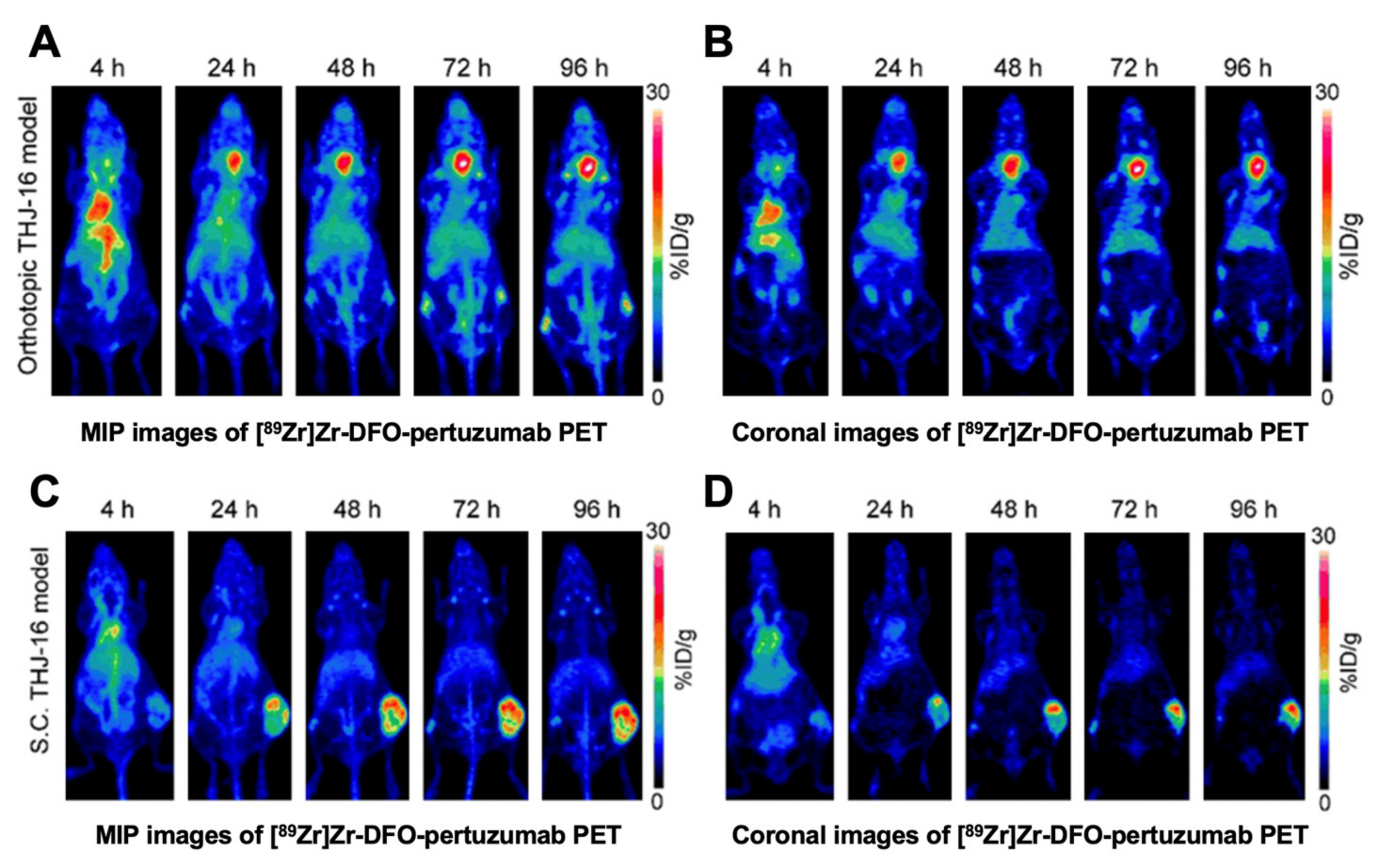 Cancers 13 03188 g008