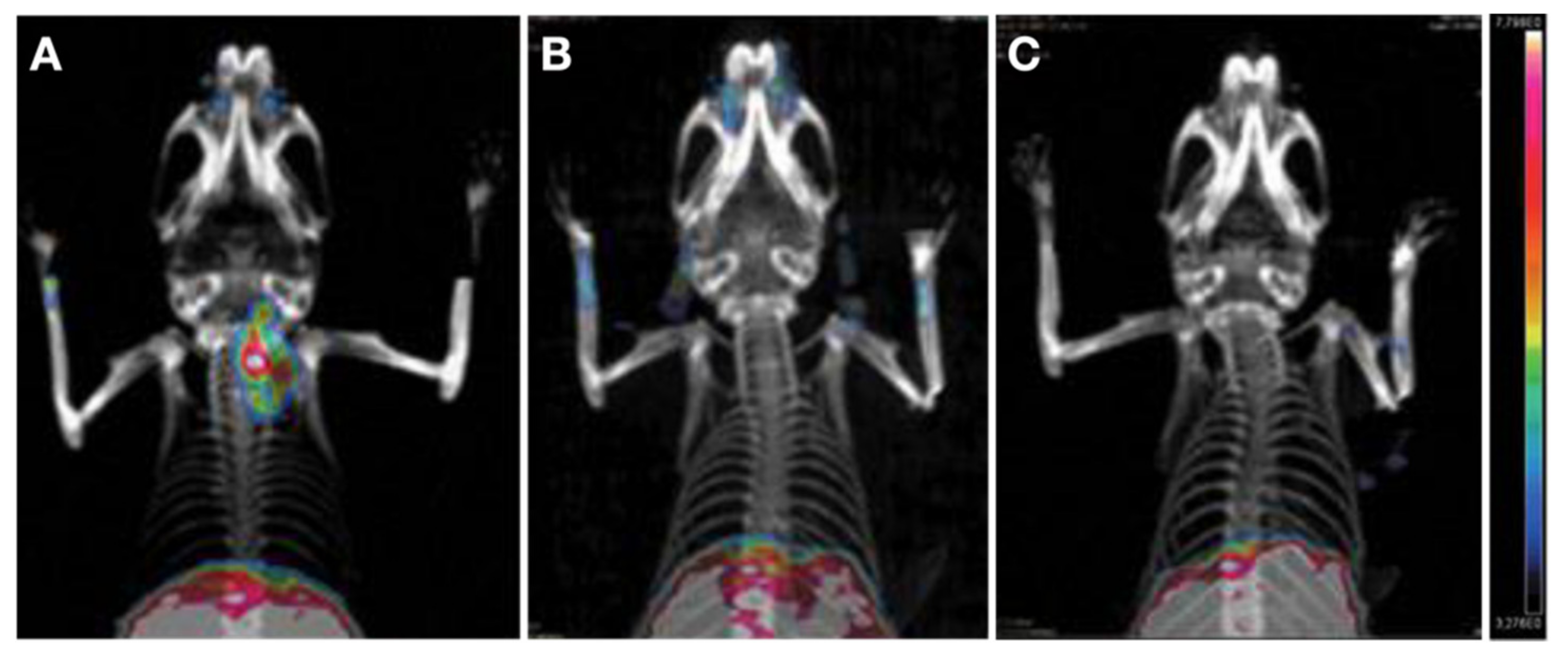 Cancers 13 03188 g012