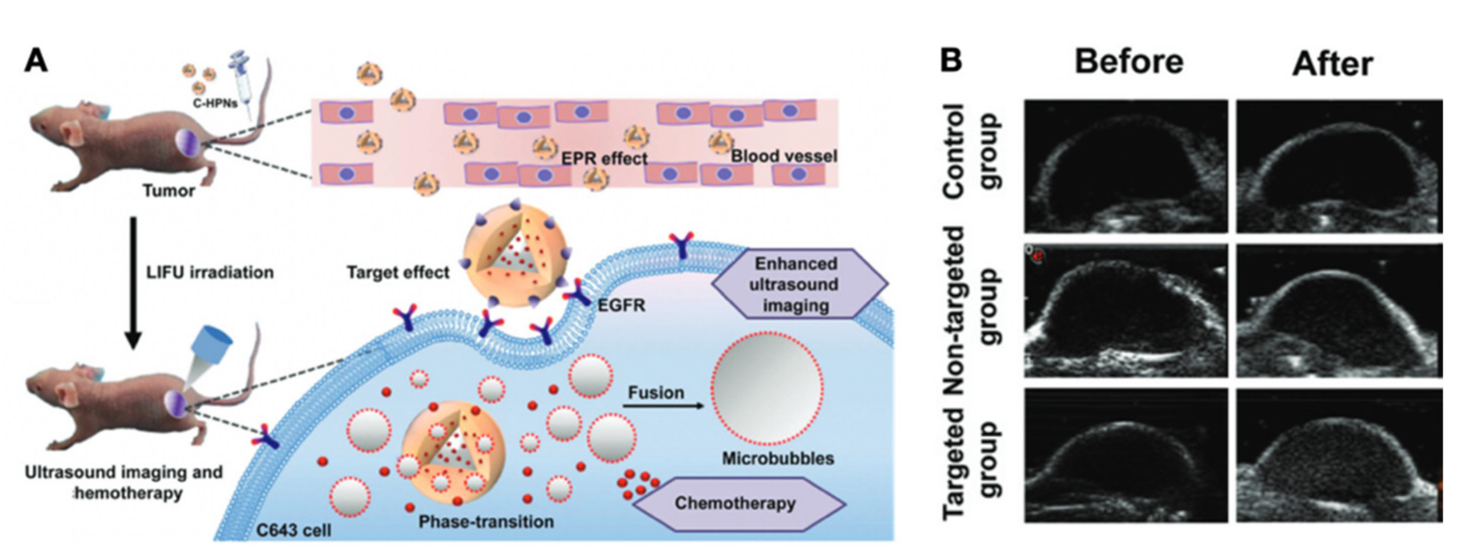 Cancers 13 03188 g015