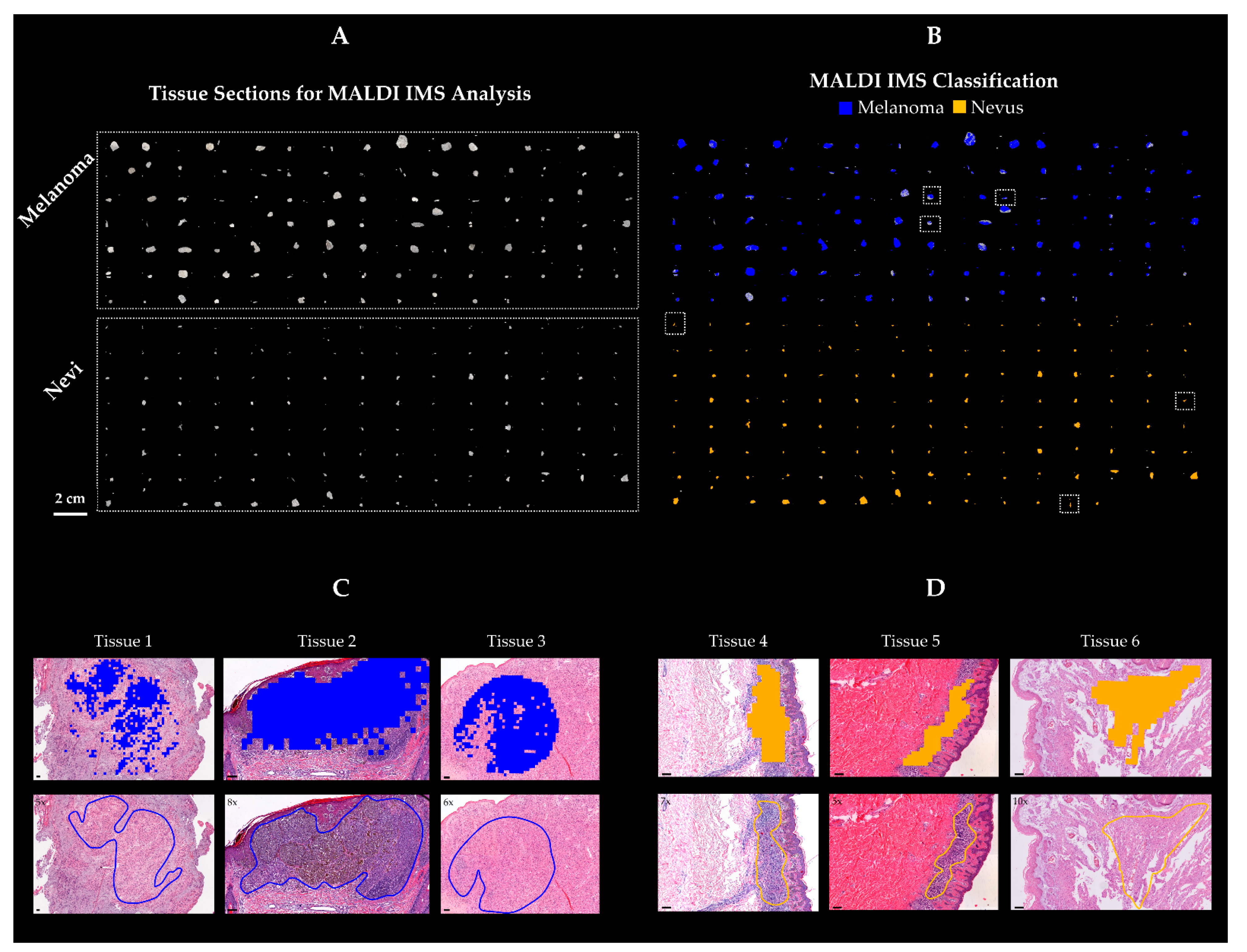 Cancers 13 03197 g003