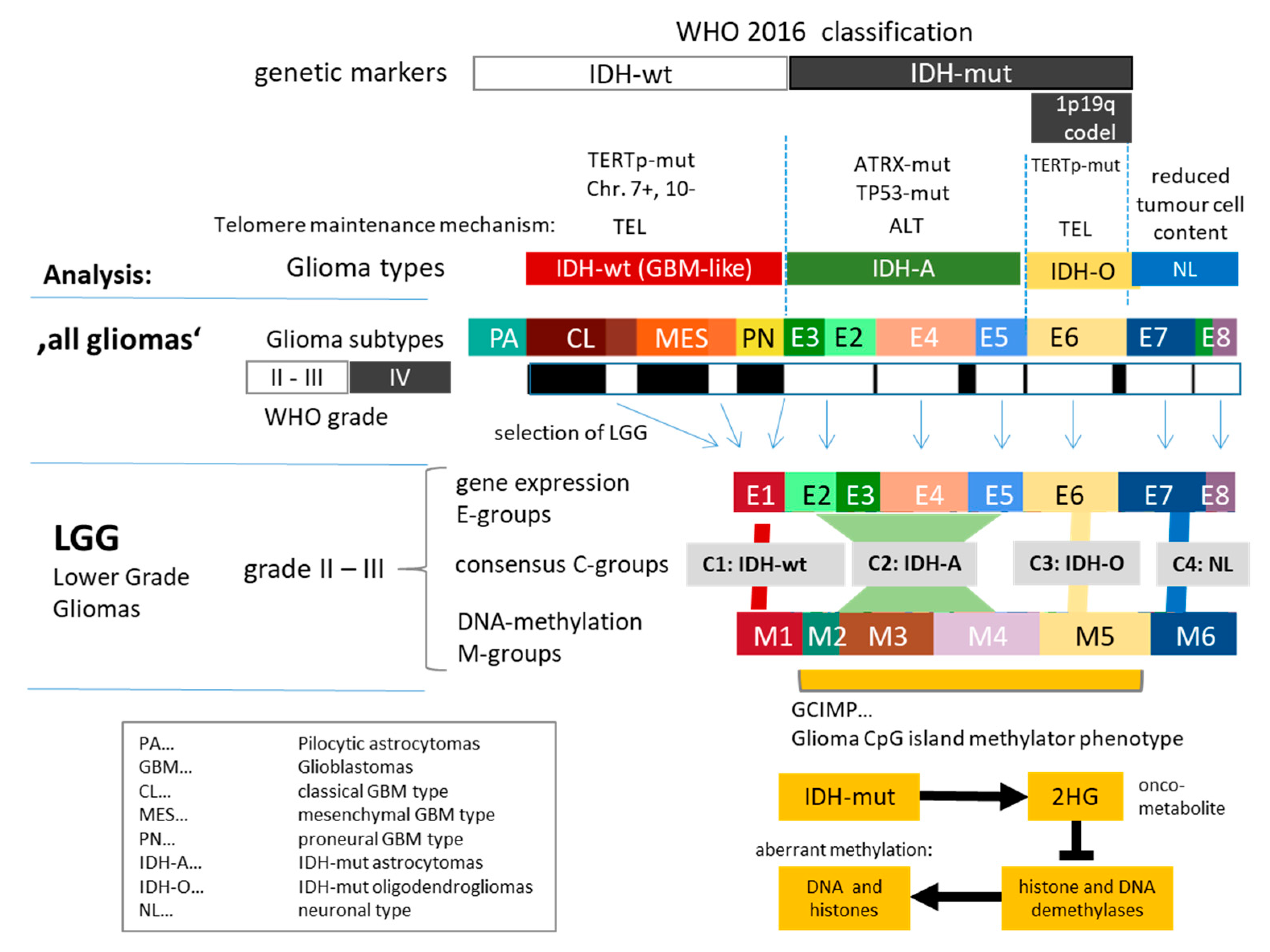 Cancers 13 03198 g001