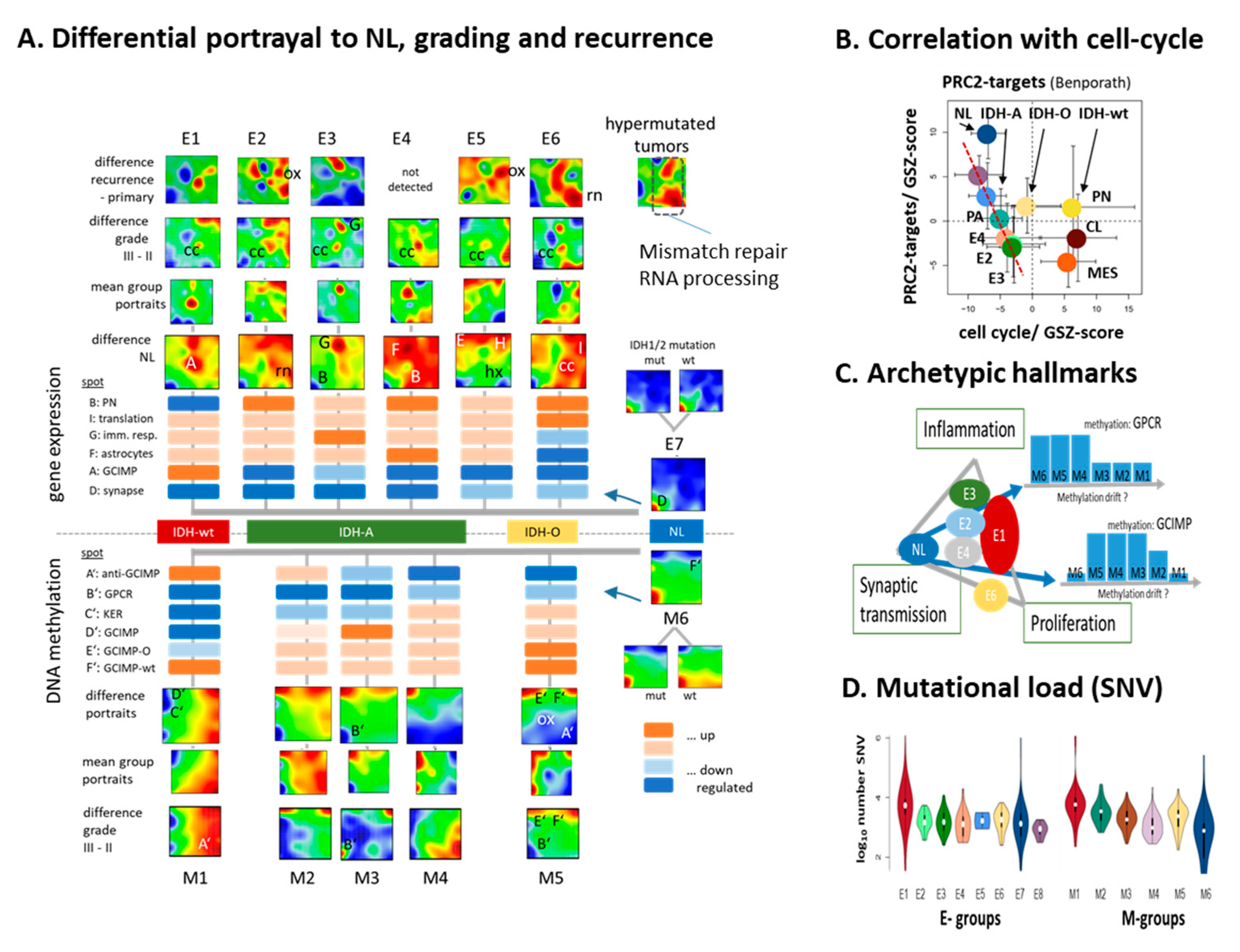 Cancers 13 03198 g005