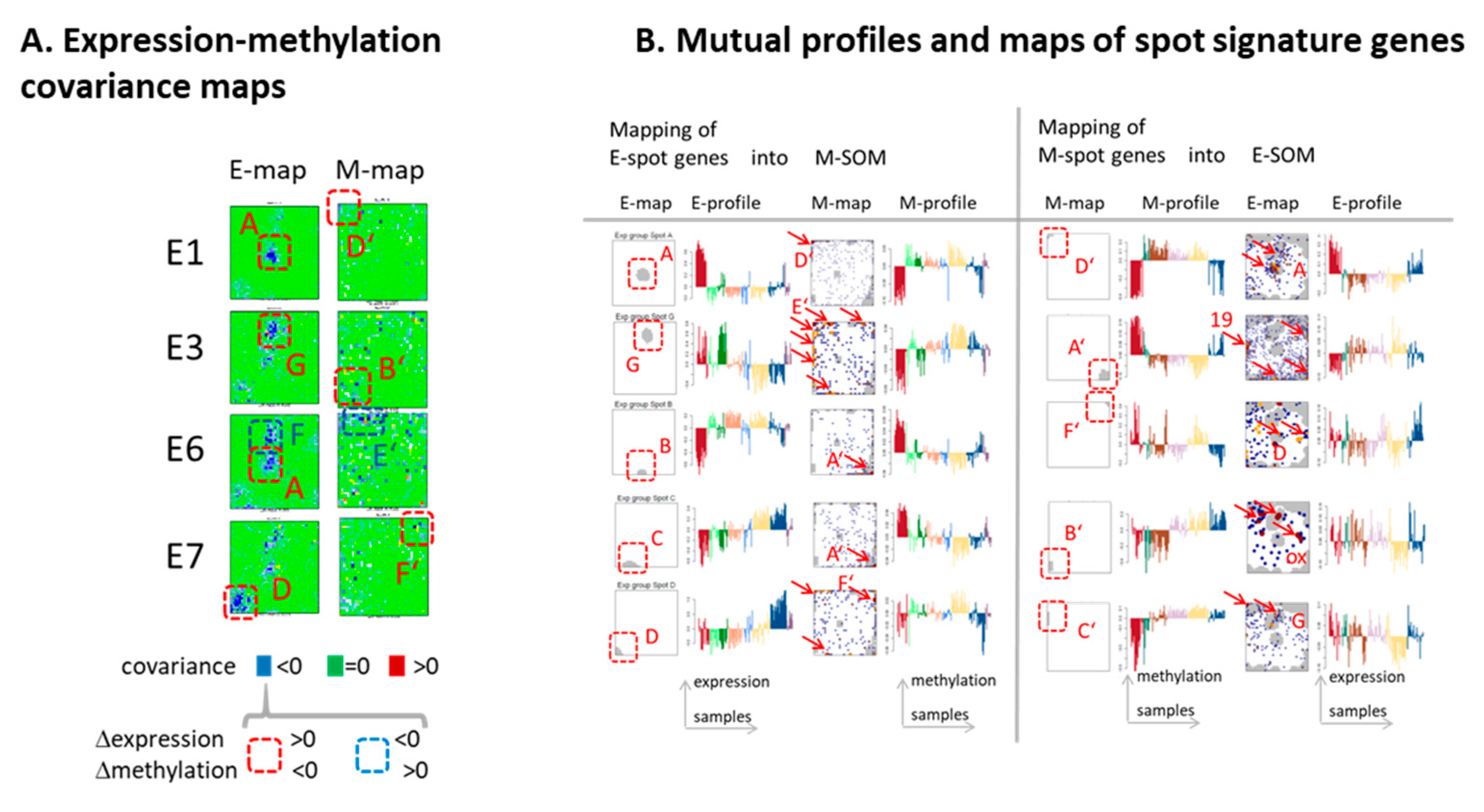 Cancers 13 03198 g006