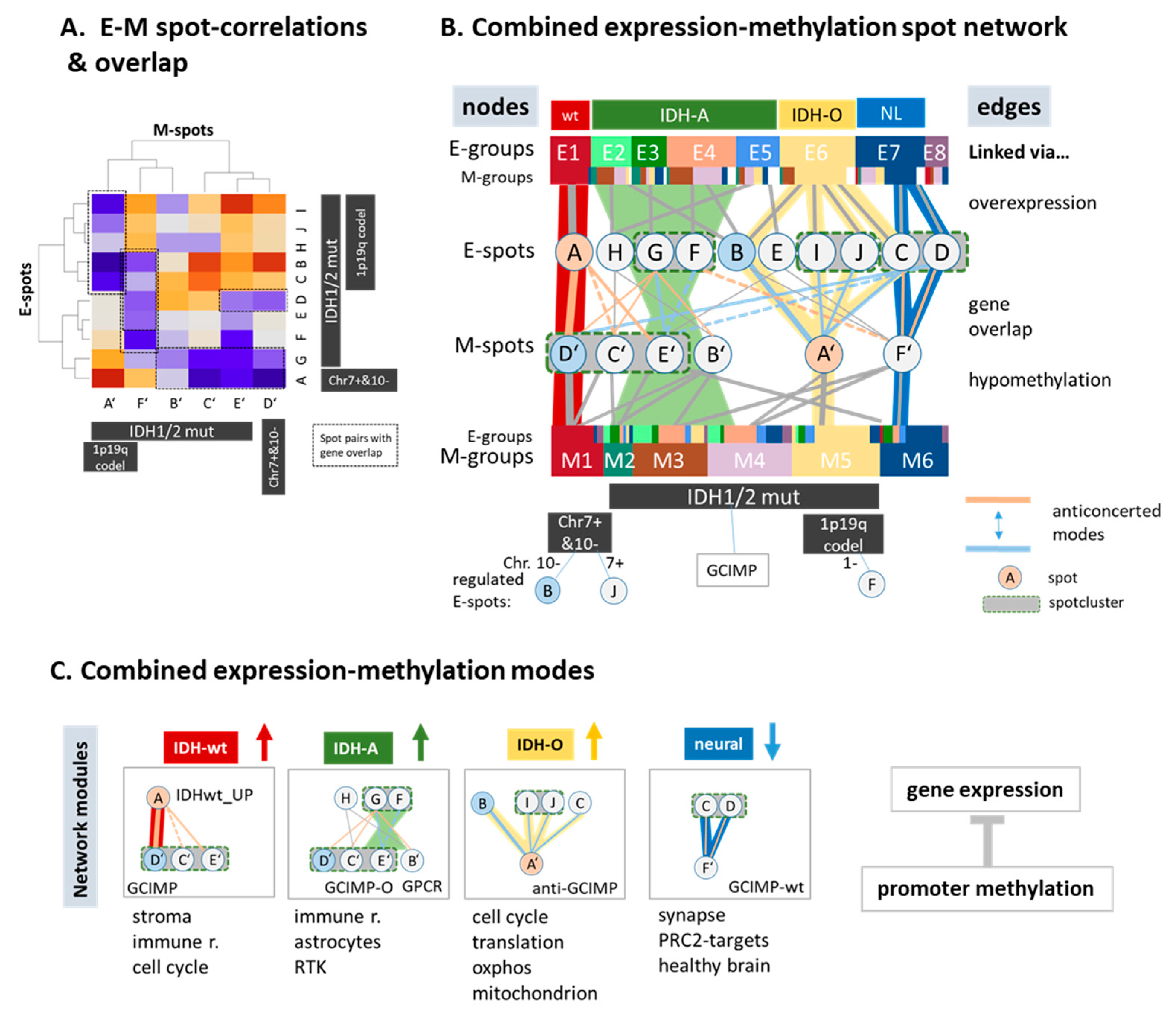 Cancers 13 03198 g007