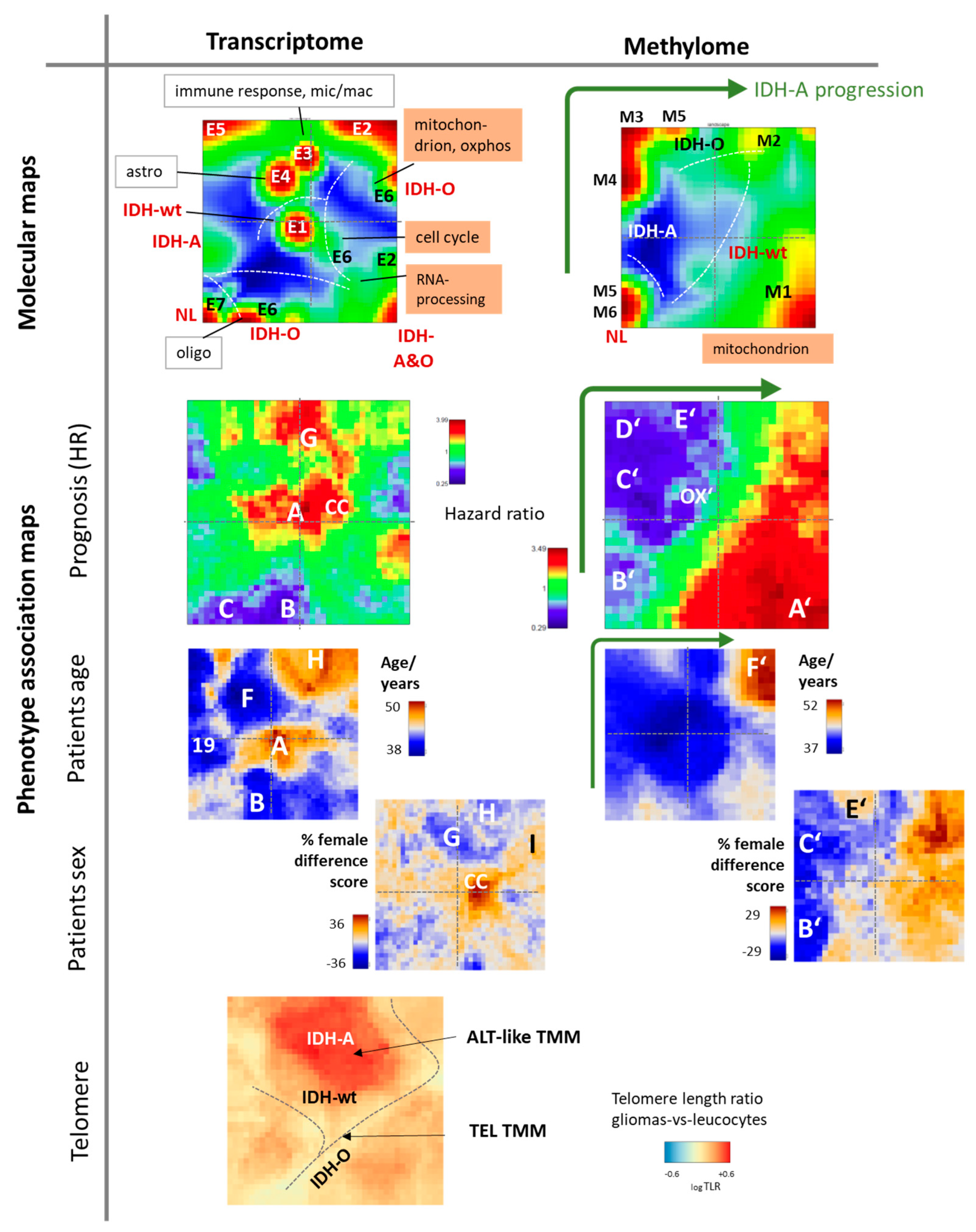 Cancers 13 03198 g008