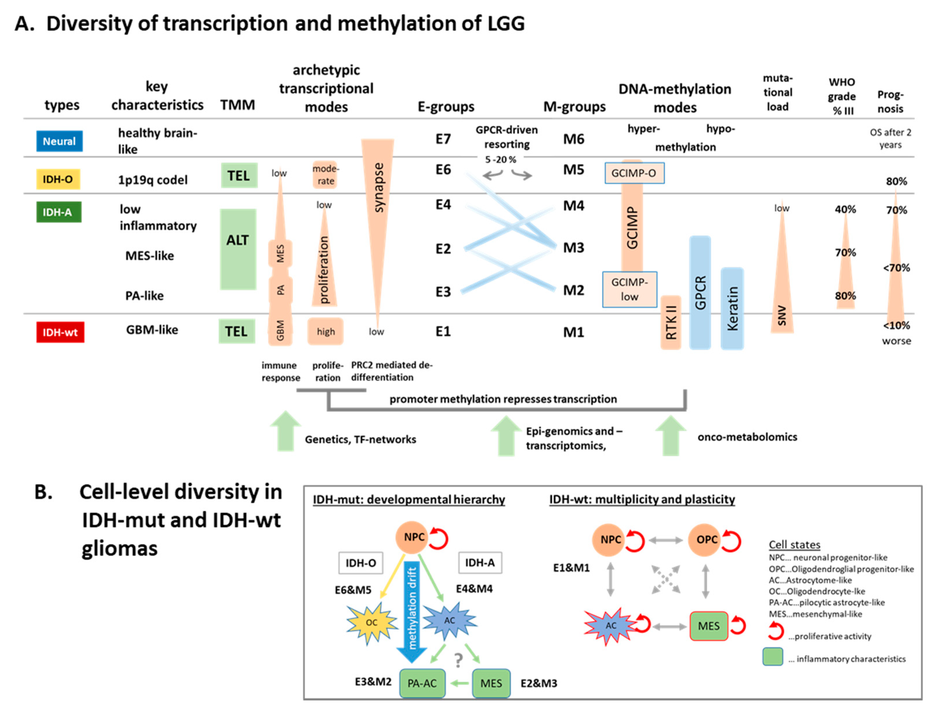 Cancers 13 03198 g009