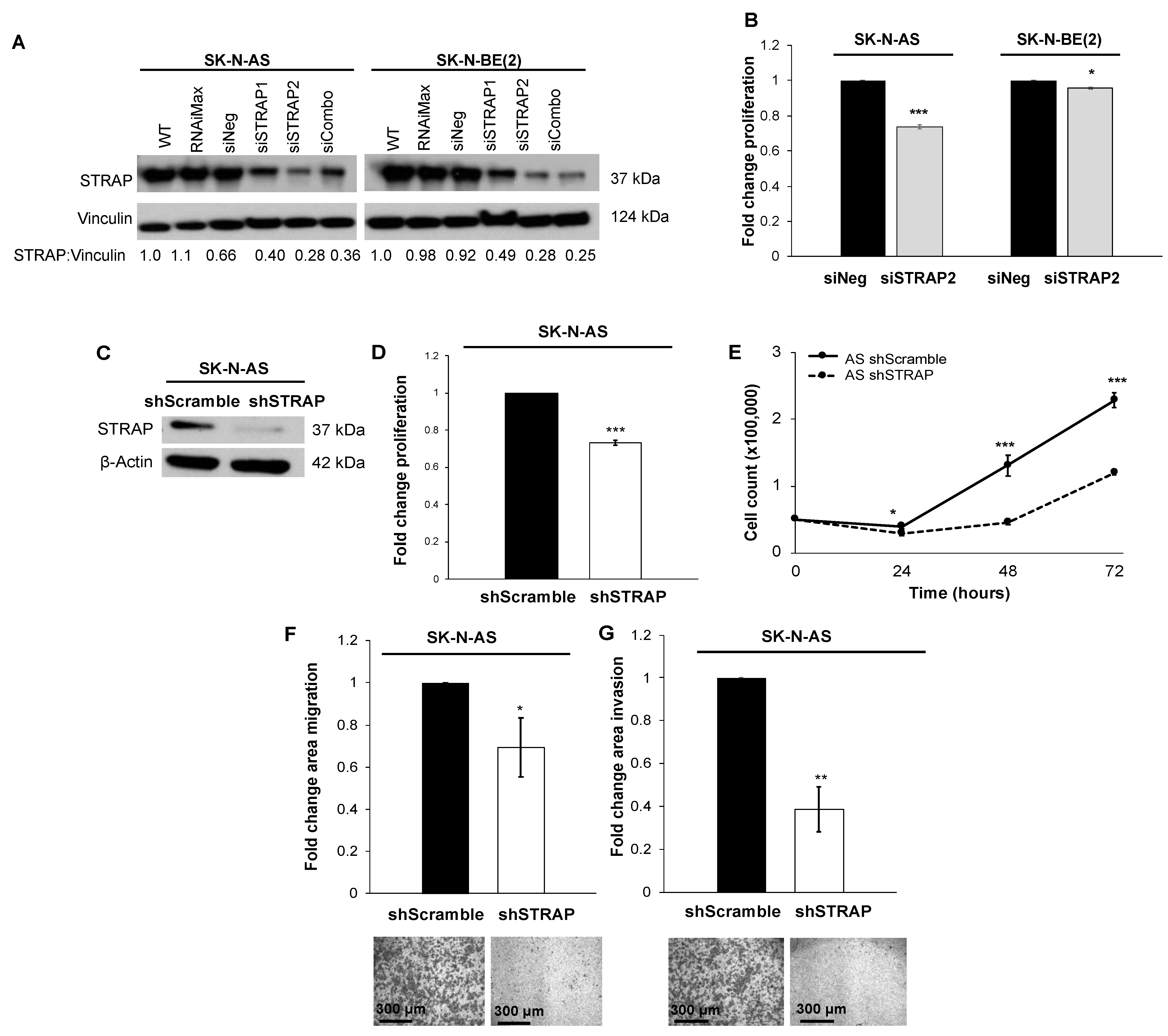 Cancers Free FullText Kinase ReceptorAssociated