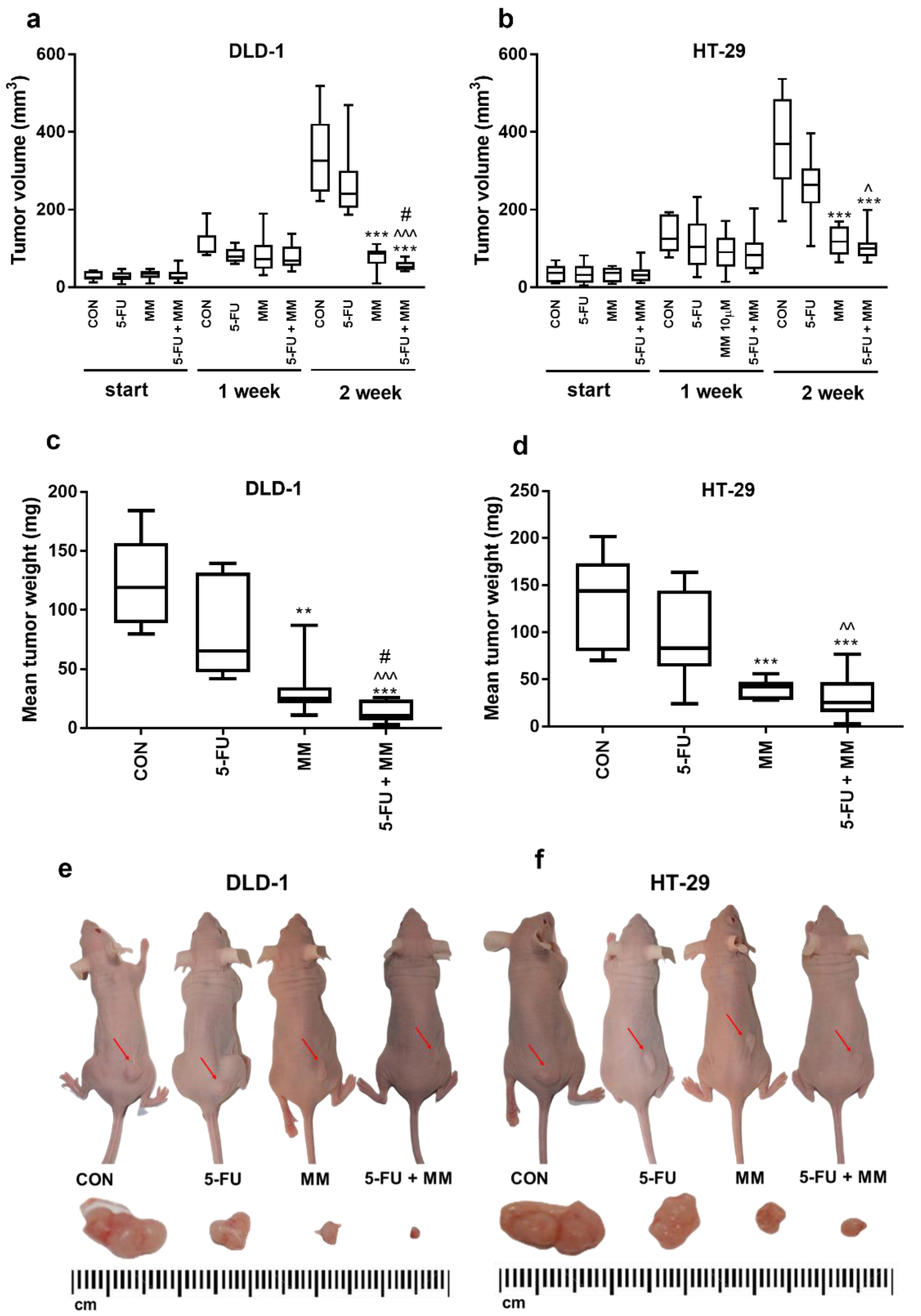 Cancers 13 03203 g001 550