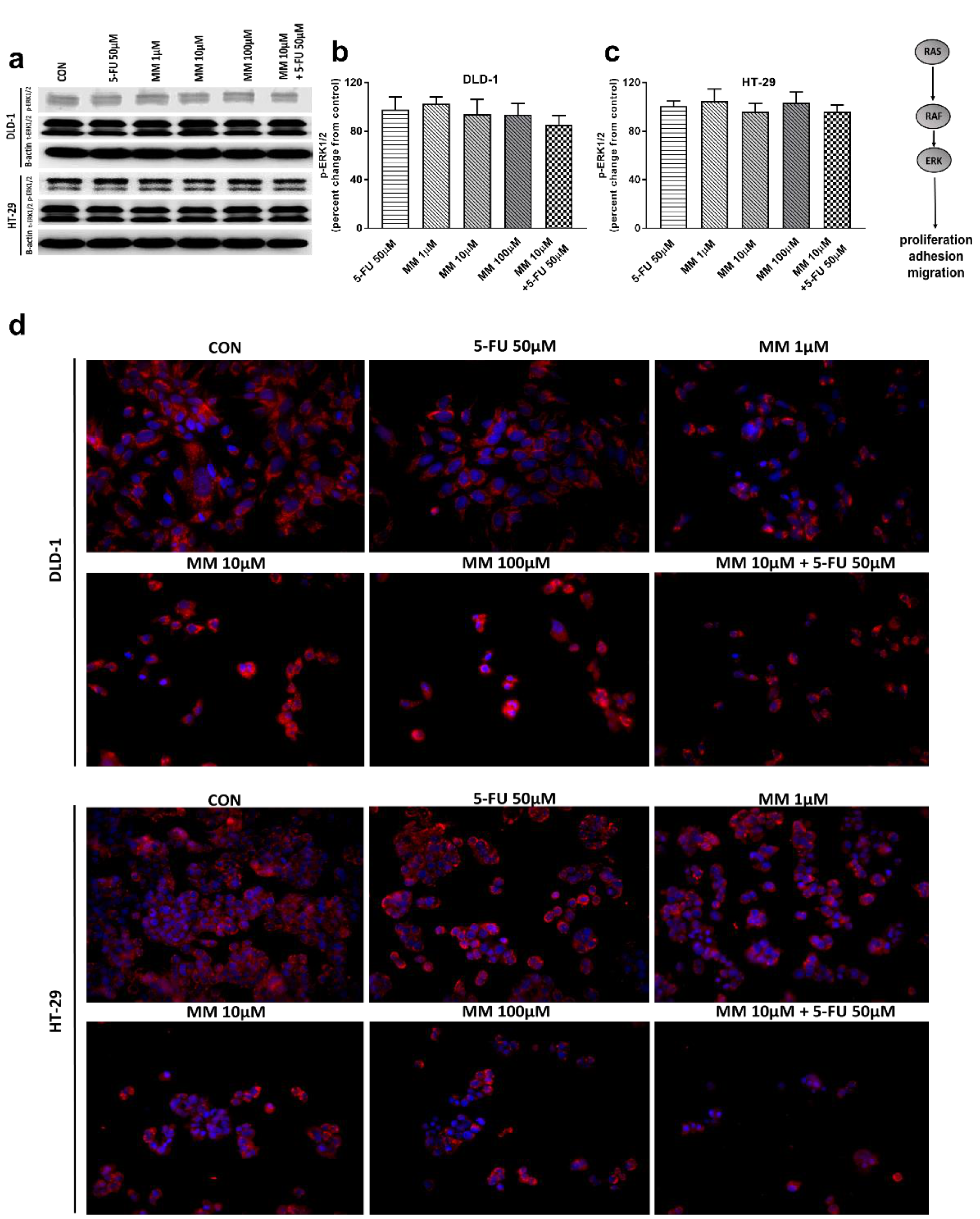 Cancers 13 03203 g005 550