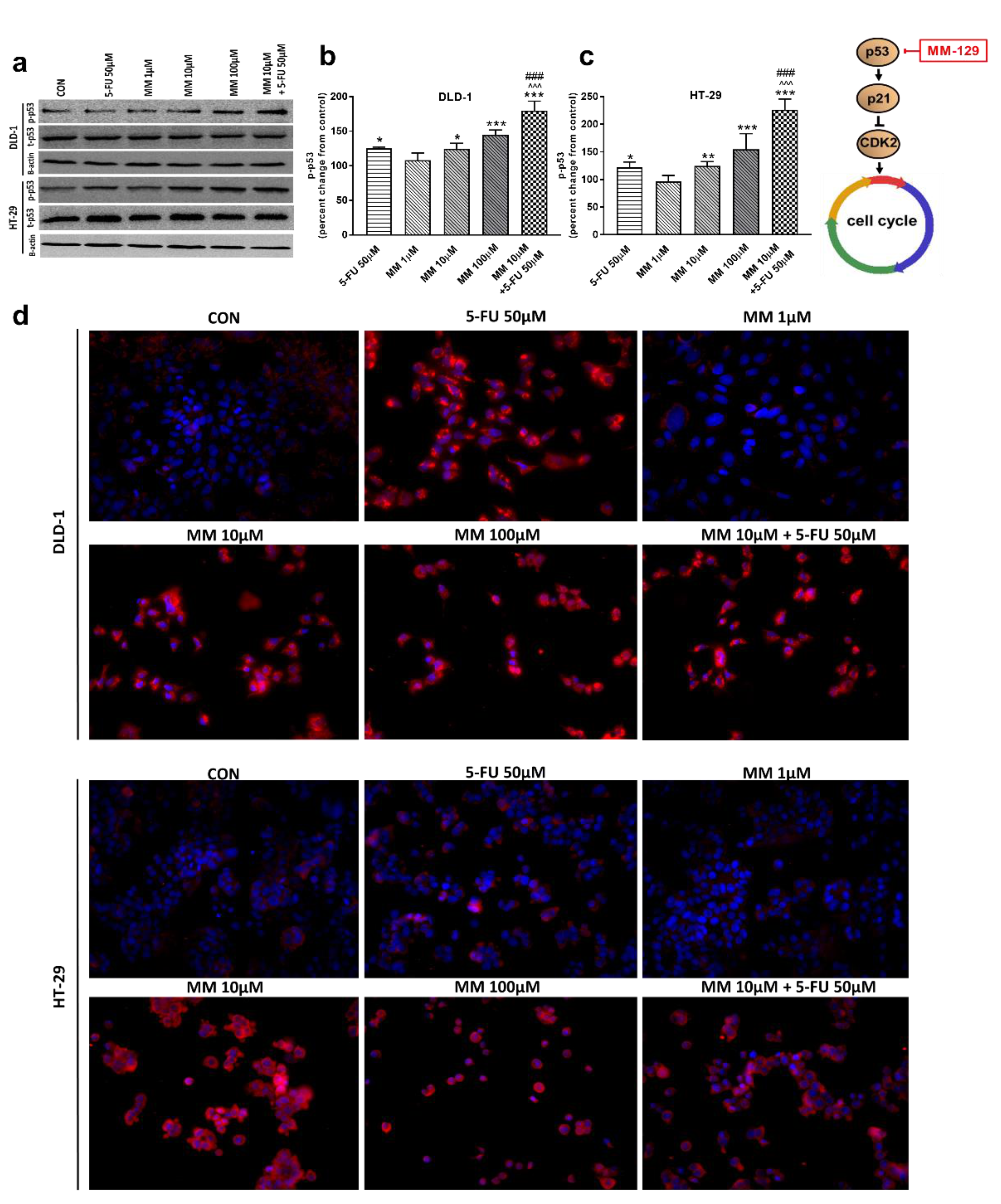 Cancers 13 03203 g007 550