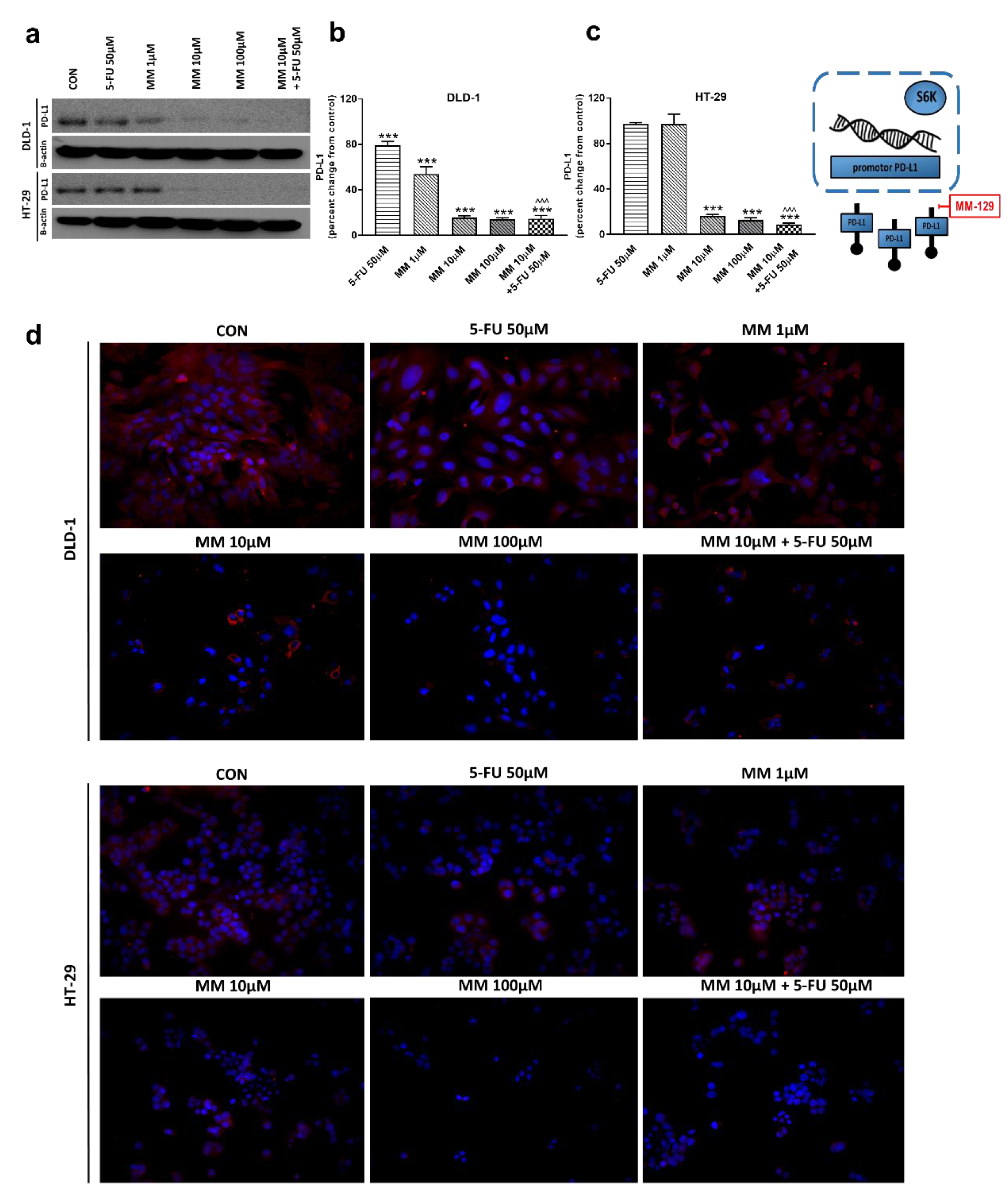 Cancers 13 03203 g009 550