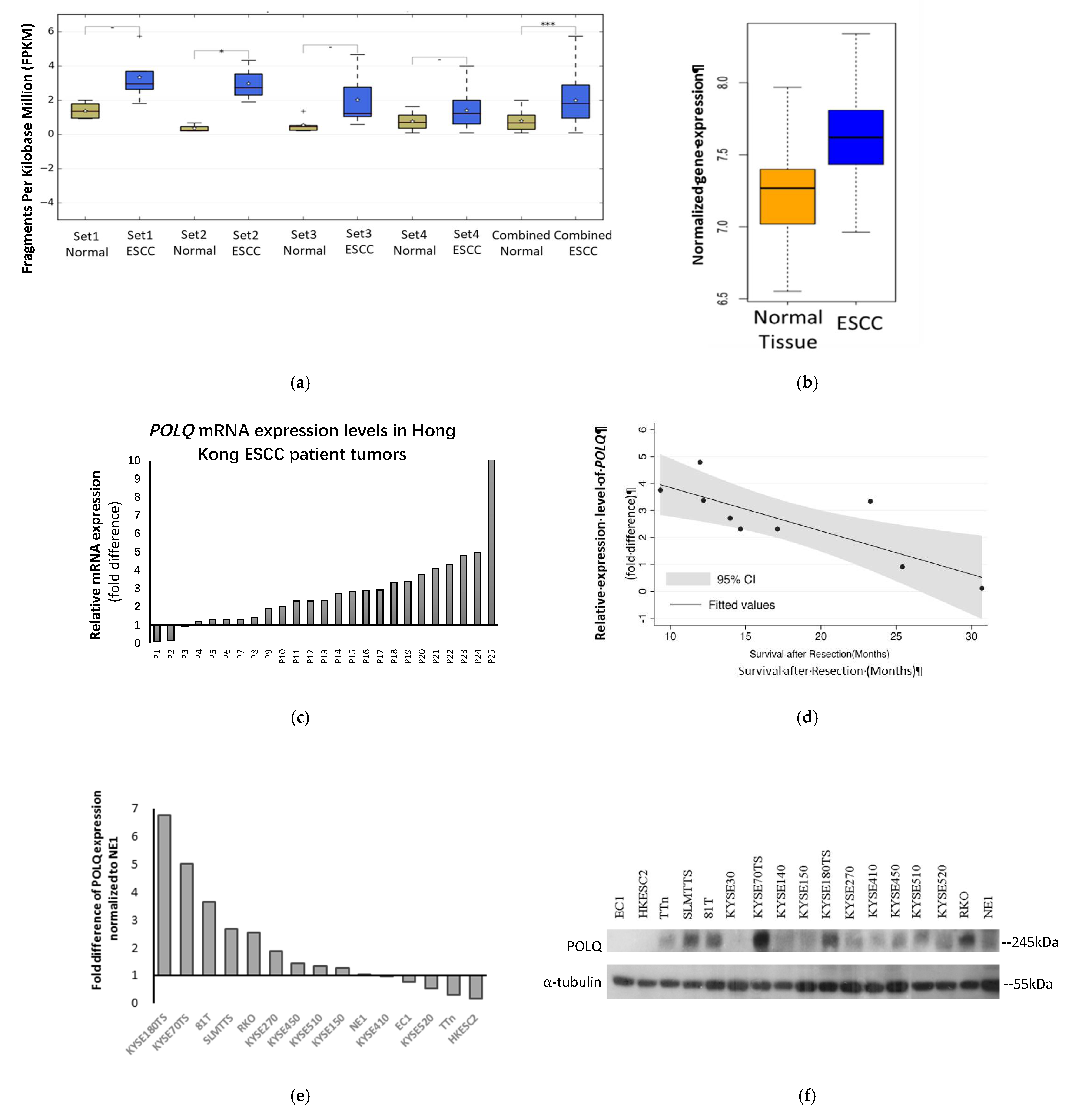 Cancers 13 03204 g001