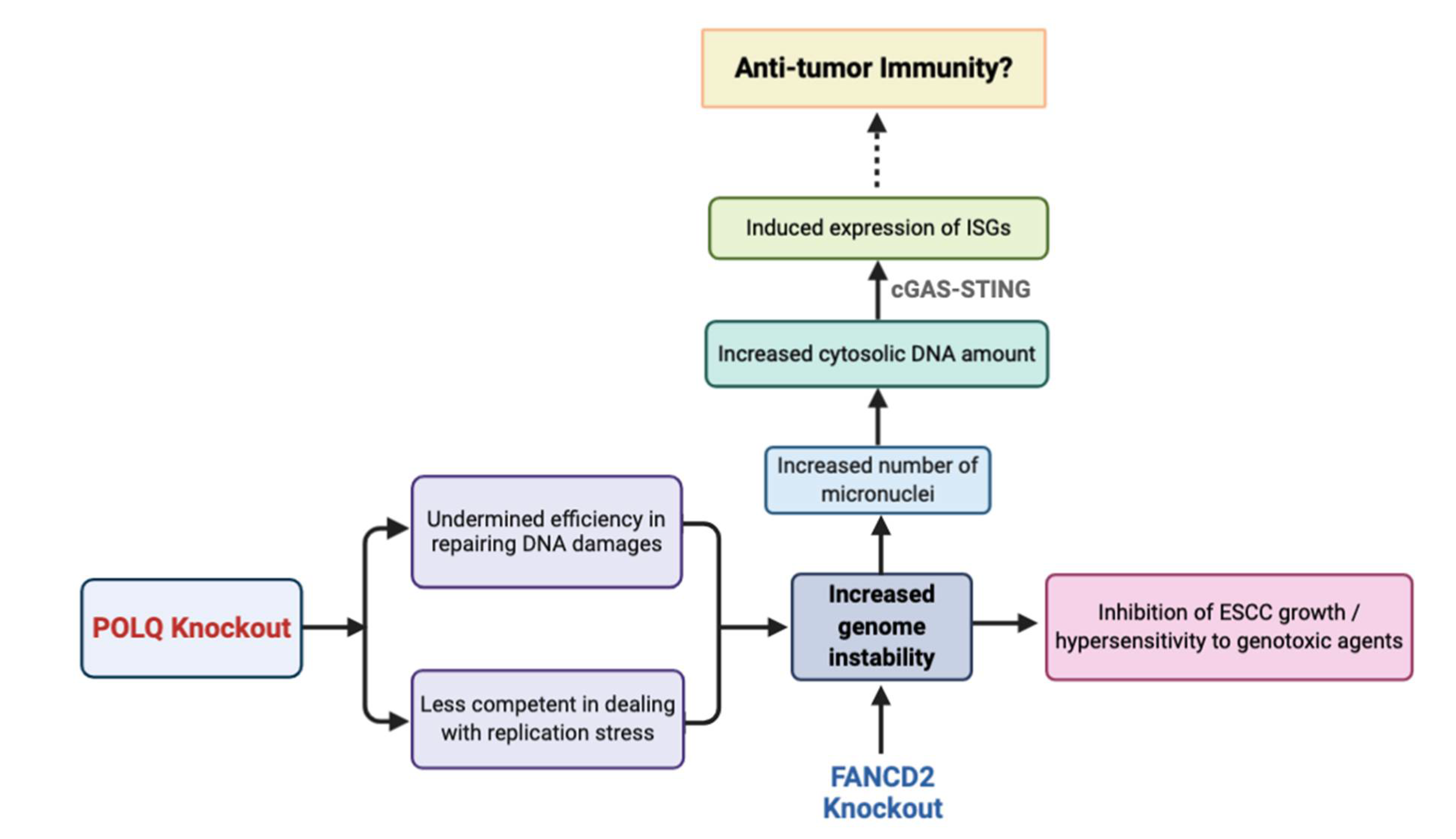 Cancers 13 03204 g007