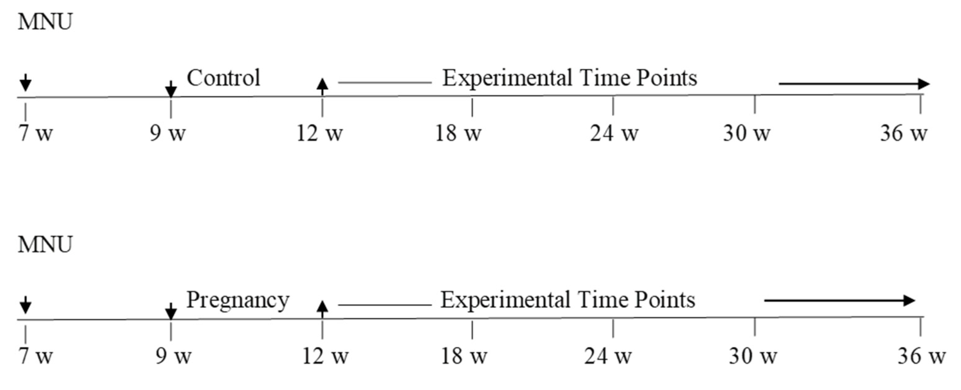 Cancers 13 03207 g001 Cancers 13 03207 g001