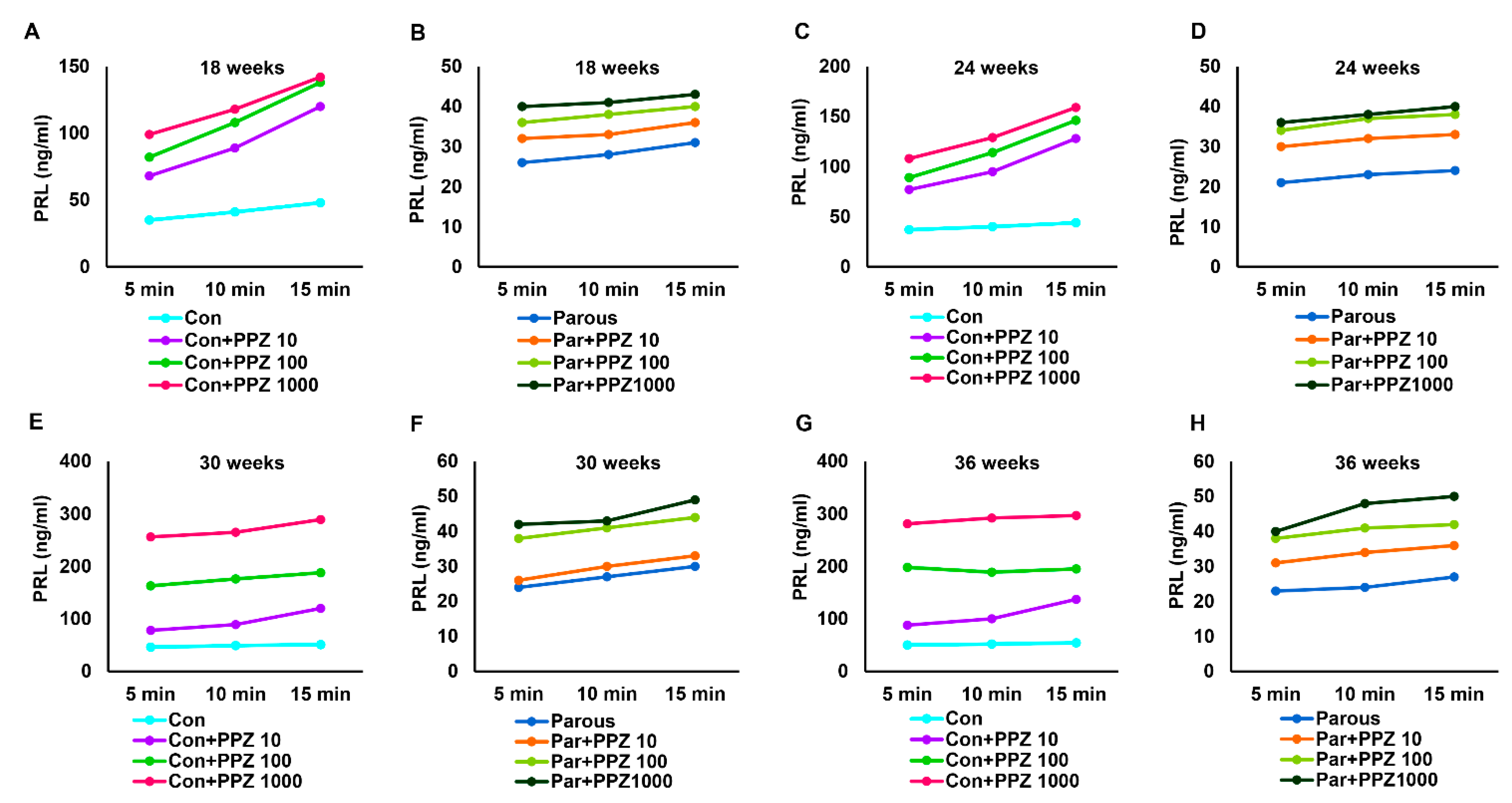 Cancers 13 03207 g007 Cancers 13 03207 g007