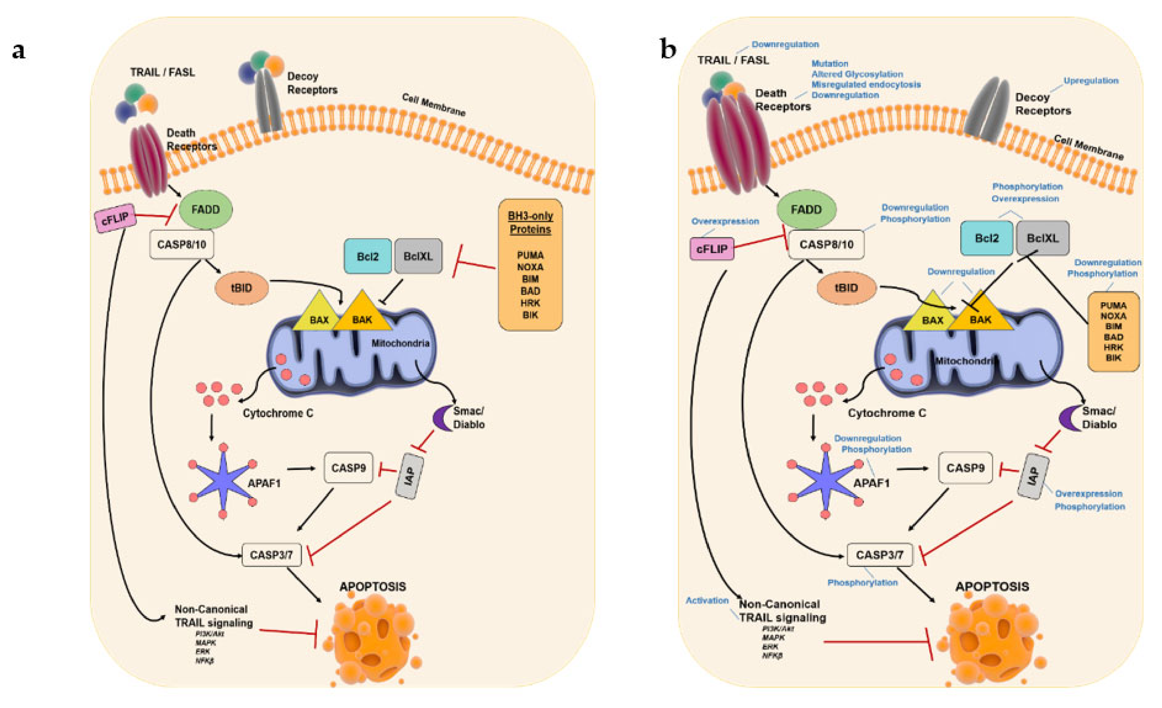 Cancers 13 03210 g002