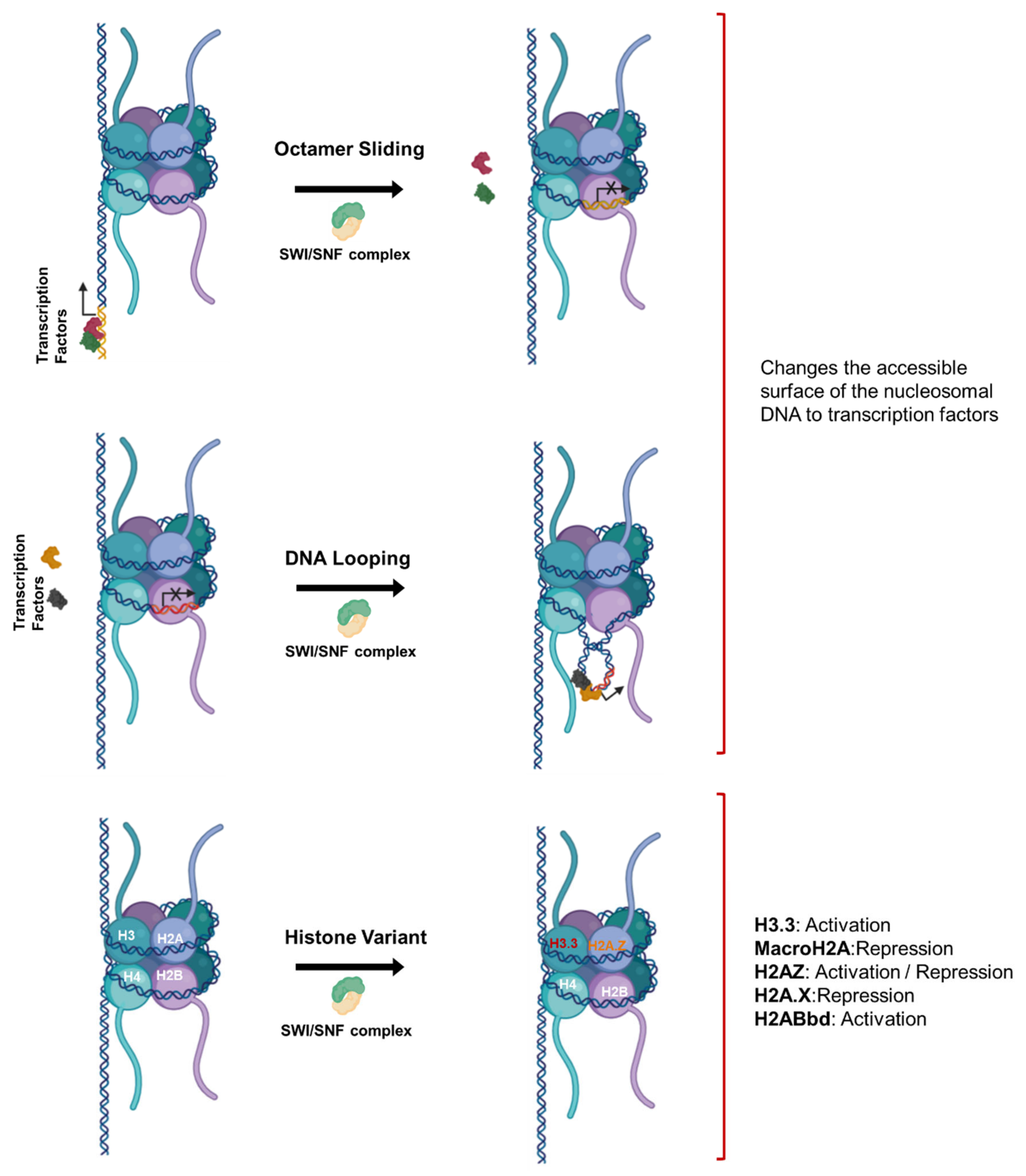 Cancers 13 03210 g004