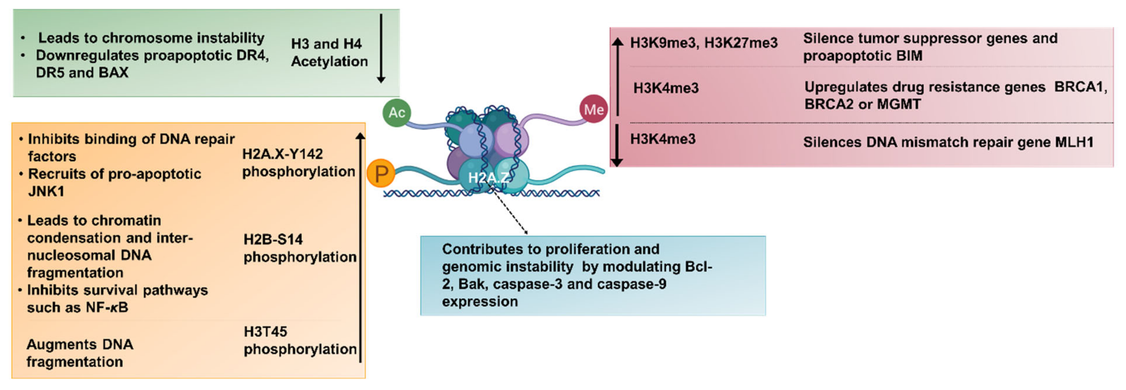 Cancers 13 03210 g007