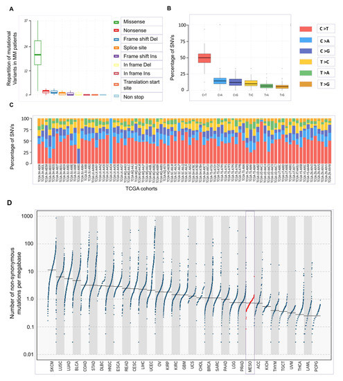 dose time response association between occupational asbestos exposure and pleural mesothelioma