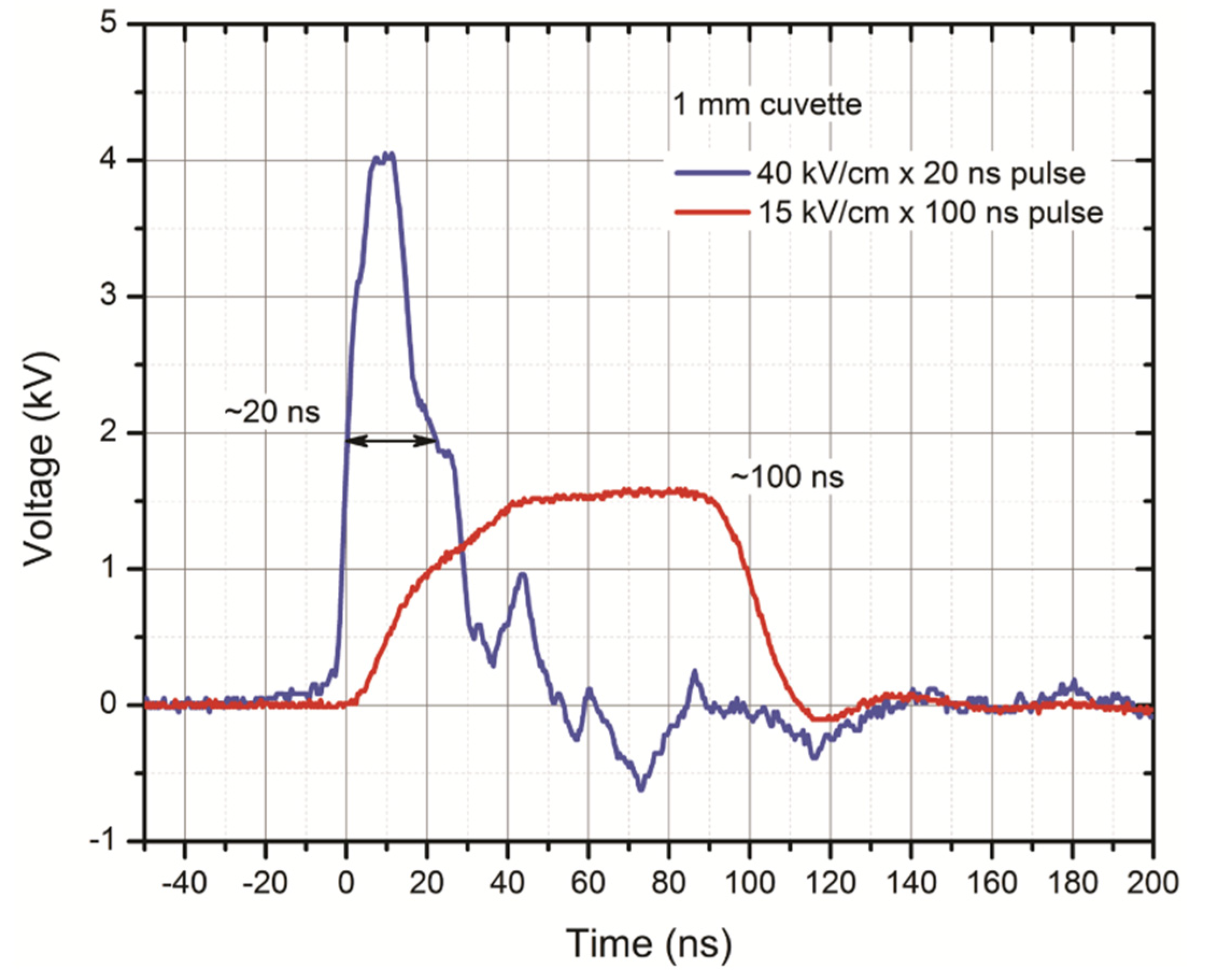 Cancers 13 03216 g001