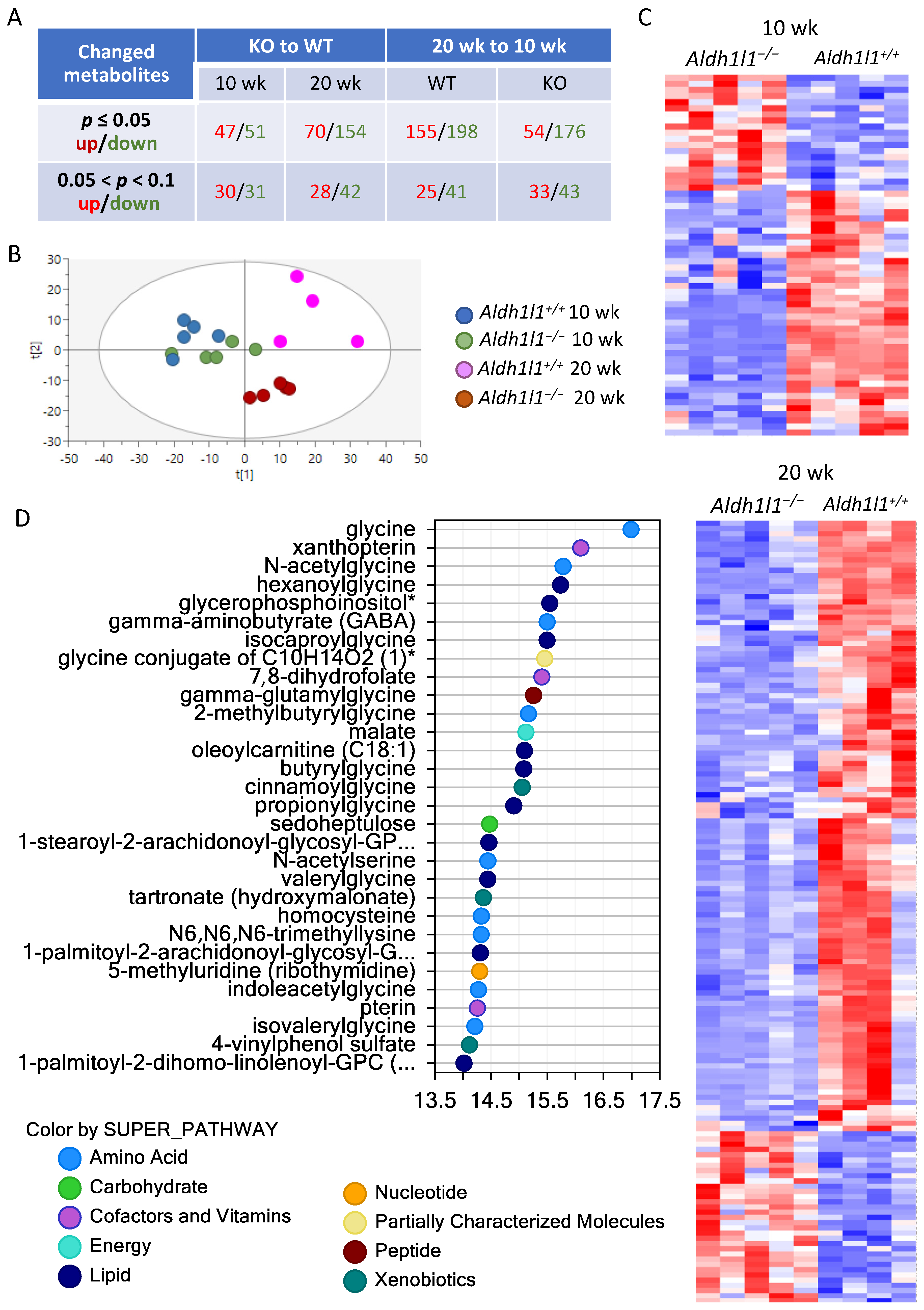 Cancers 13 03219 g004 Cancers 13 03219 g004