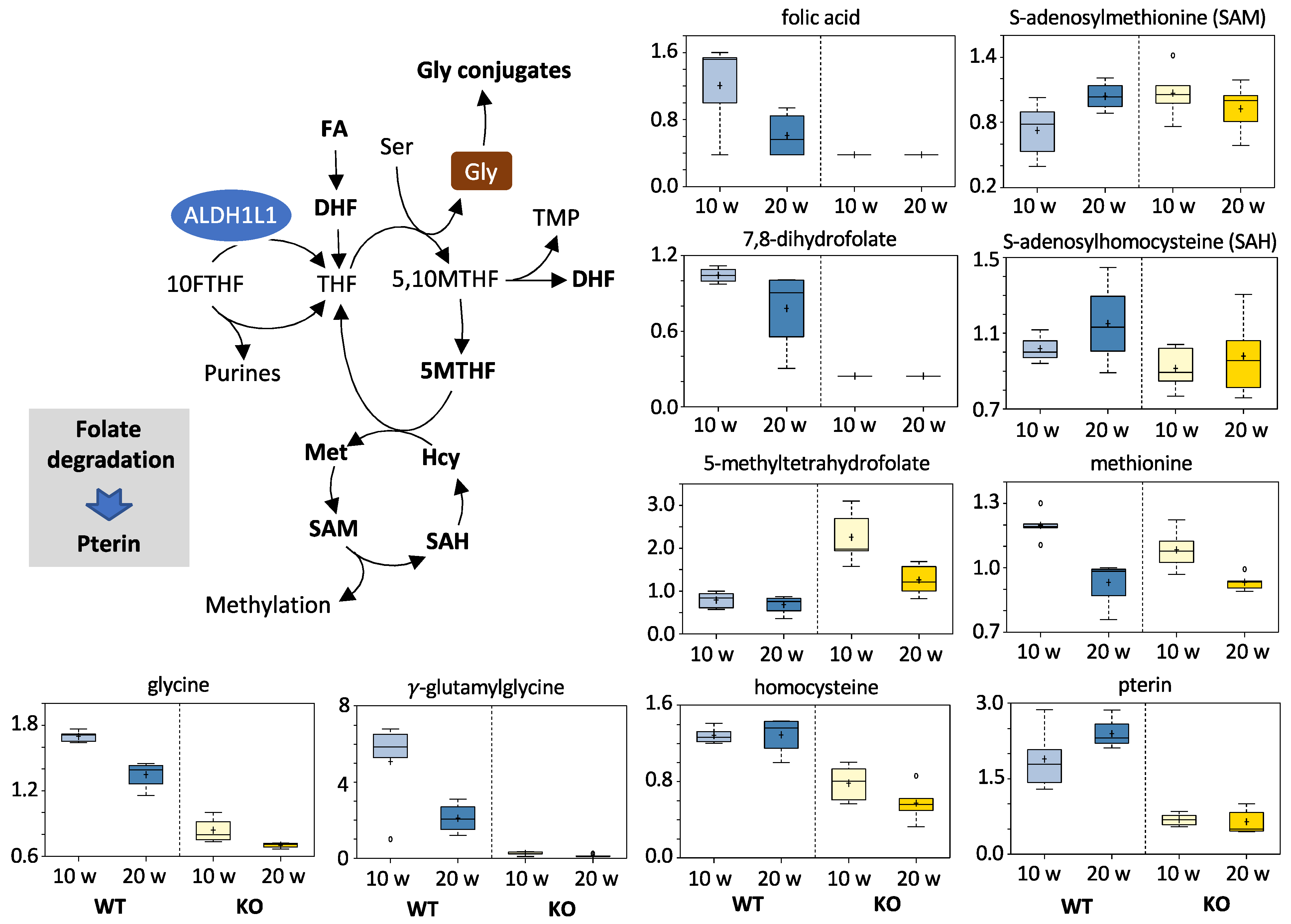 Cancers 13 03219 g005 Cancers 13 03219 g005
