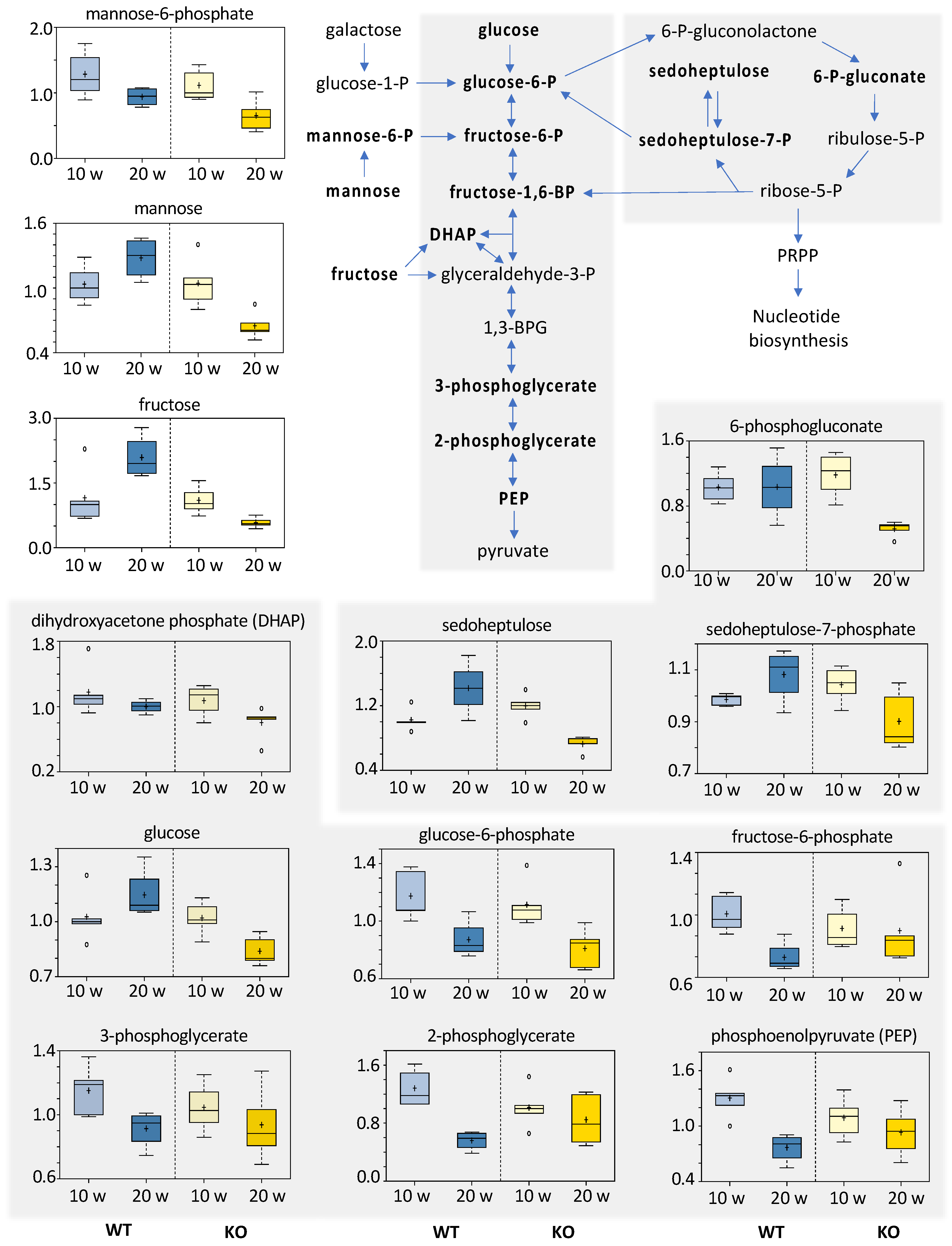Cancers 13 03219 g008 Cancers 13 03219 g008