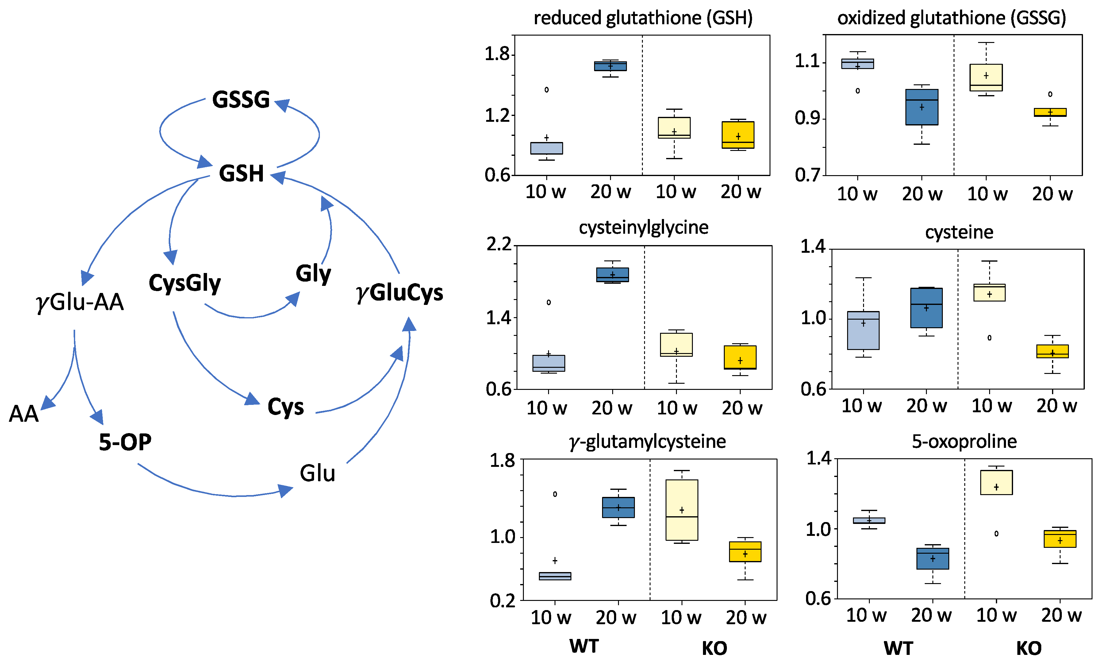 Cancers 13 03219 g009 Cancers 13 03219 g009
