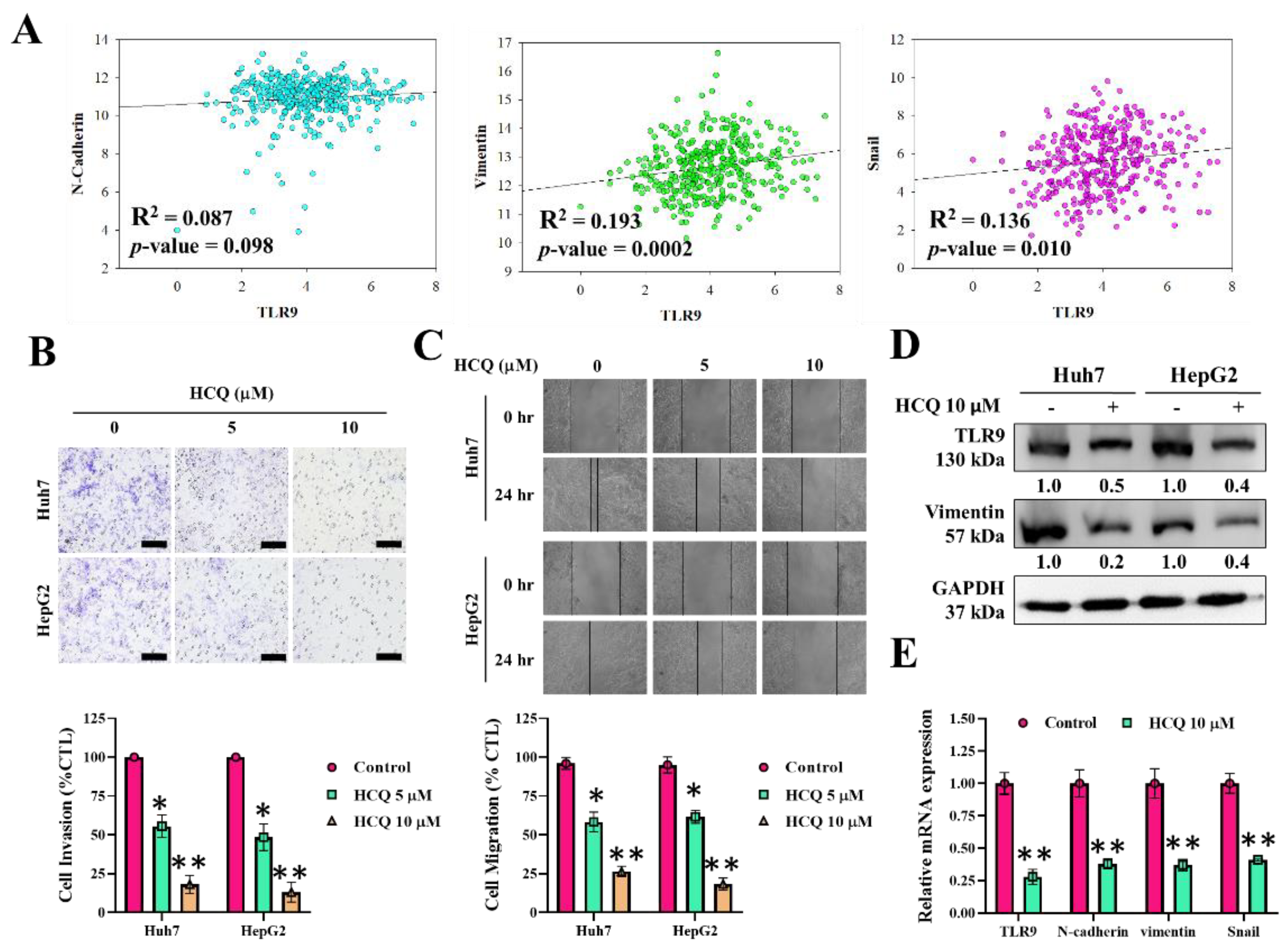 Cancers 13 03227 g004