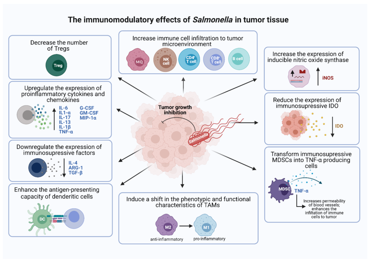 Cancers 13 03228 g002 Cancers 13 03228 g002