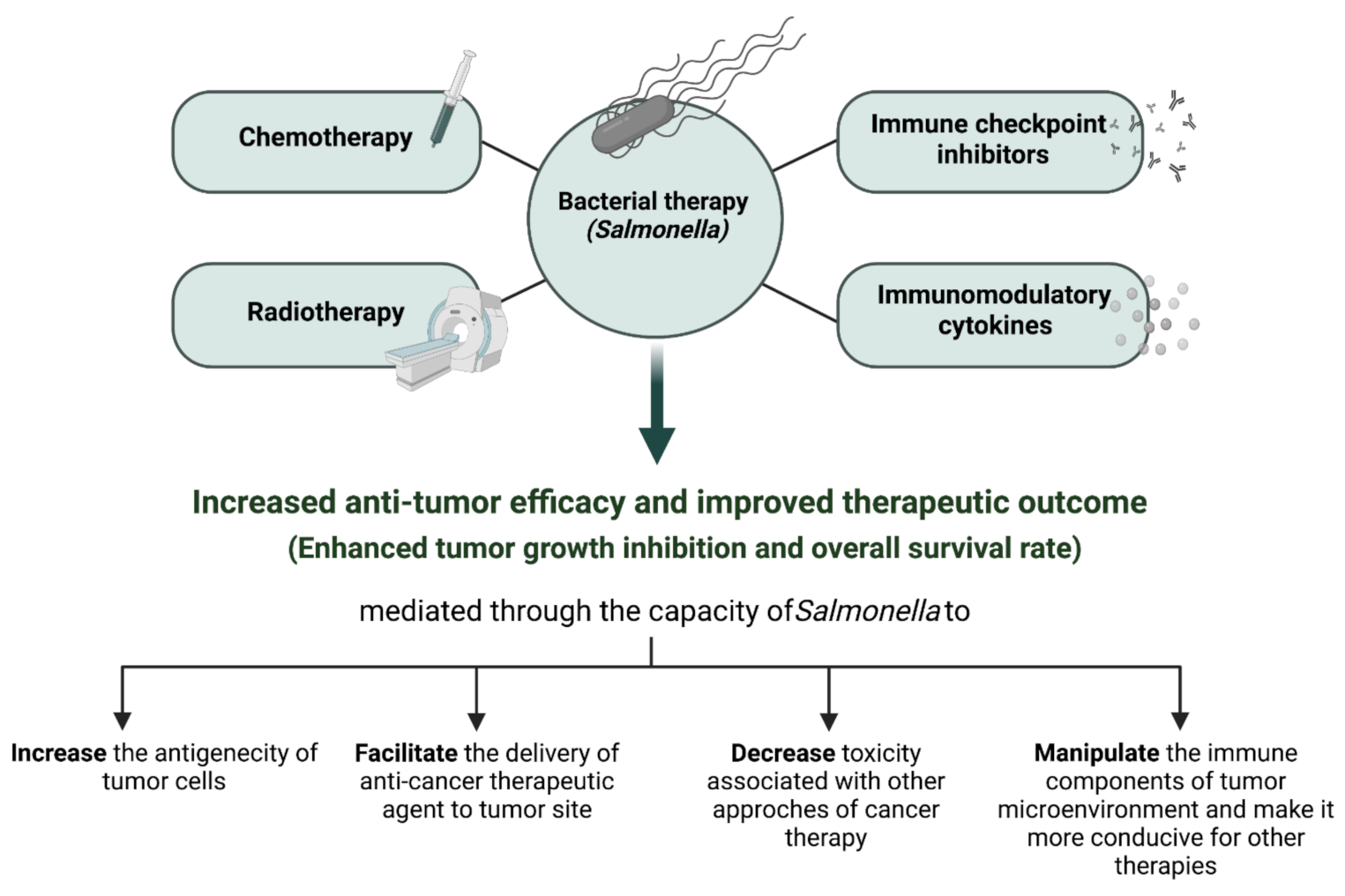 Cancers 13 03228 g003 Cancers 13 03228 g003