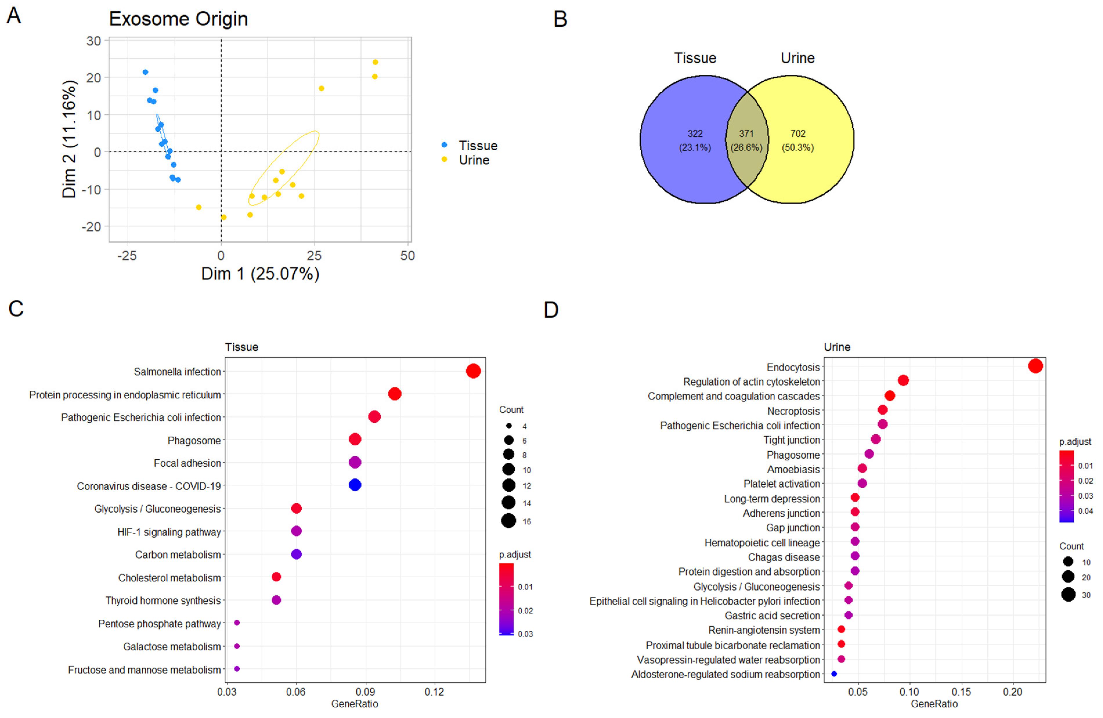 Cancers 13 03242 g002