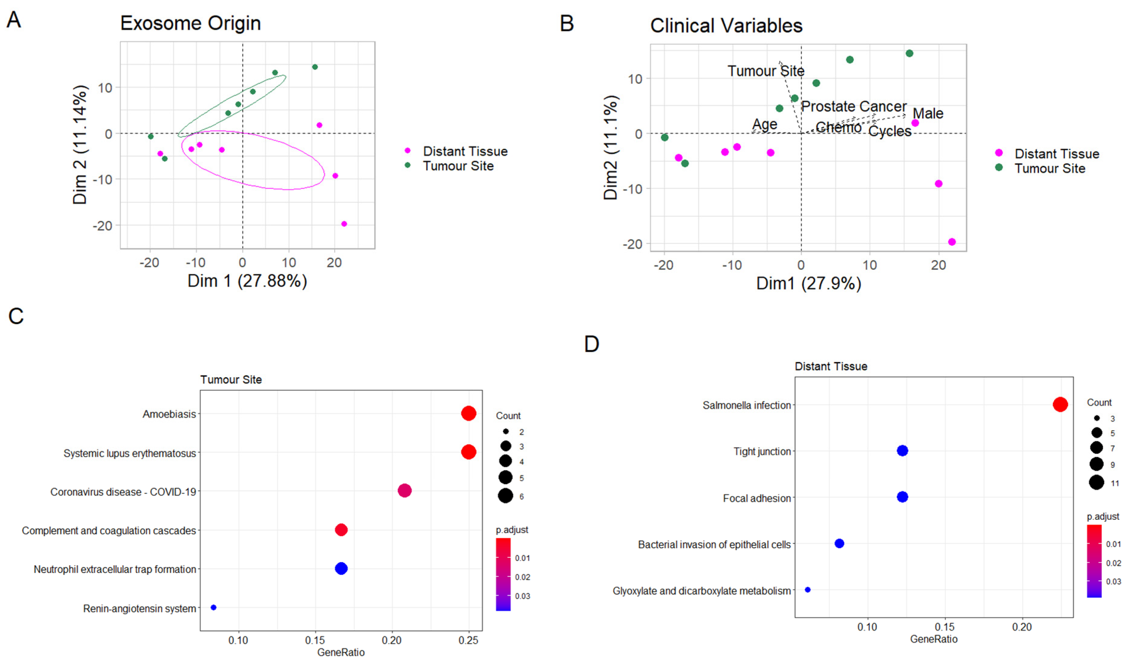 Cancers 13 03242 g003