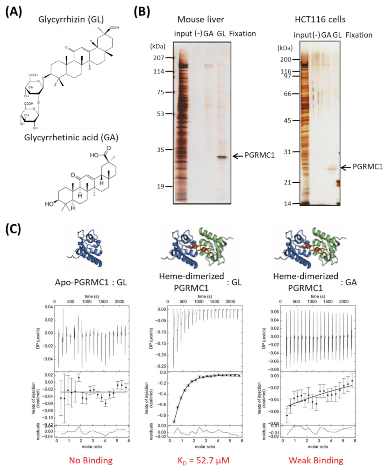 Cancers 13 03265 g001