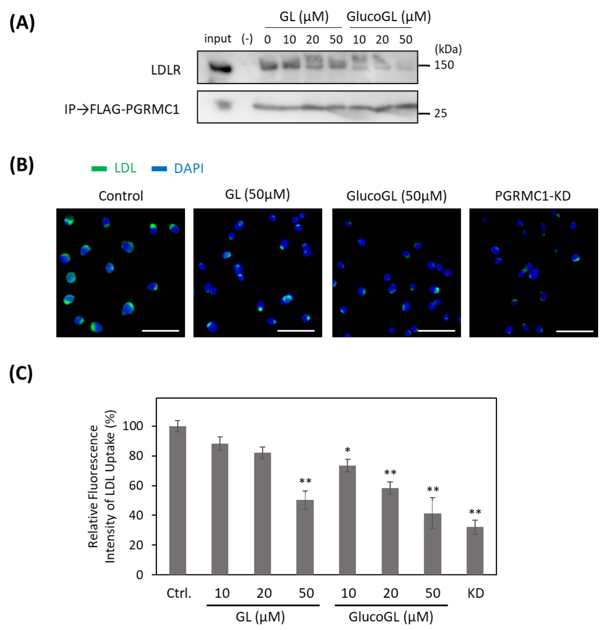 Cancers 13 03265 g005