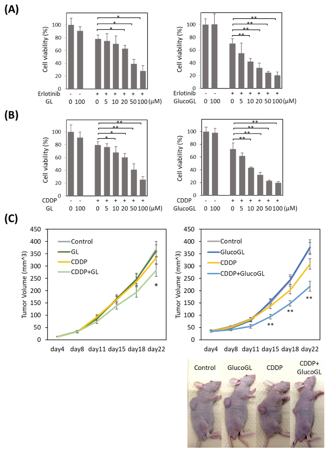 Cancers 13 03265 g006