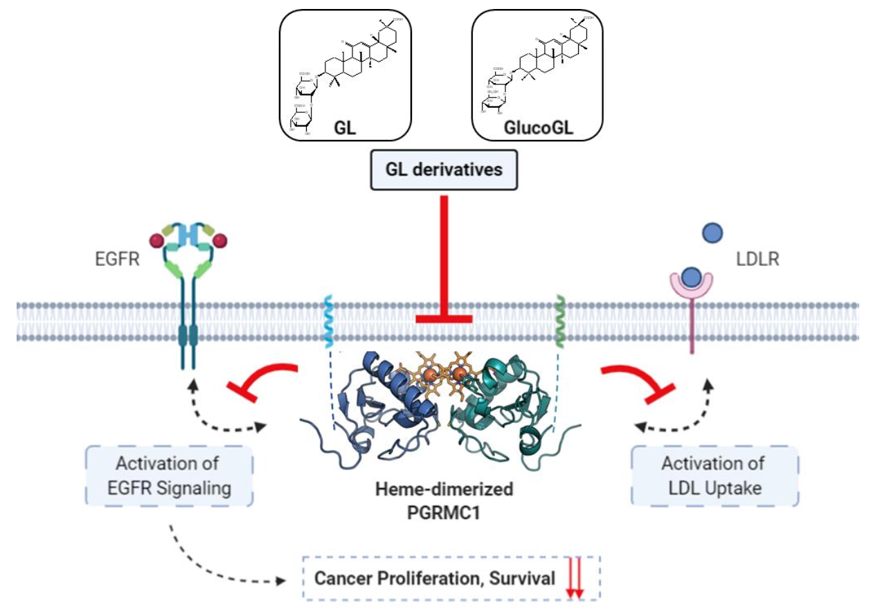 Cancers 13 03265 g007