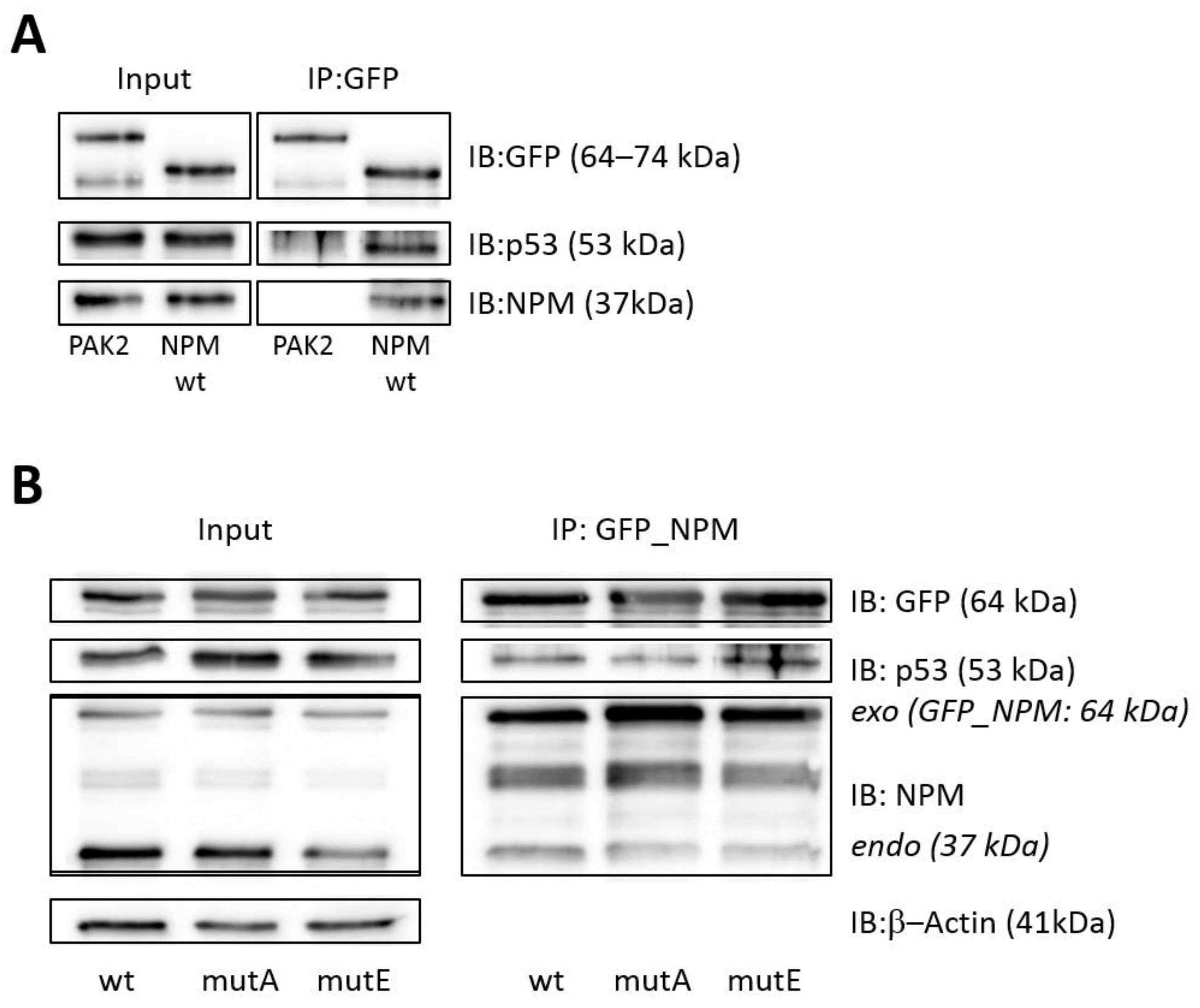 Cancers 13 03266 g002