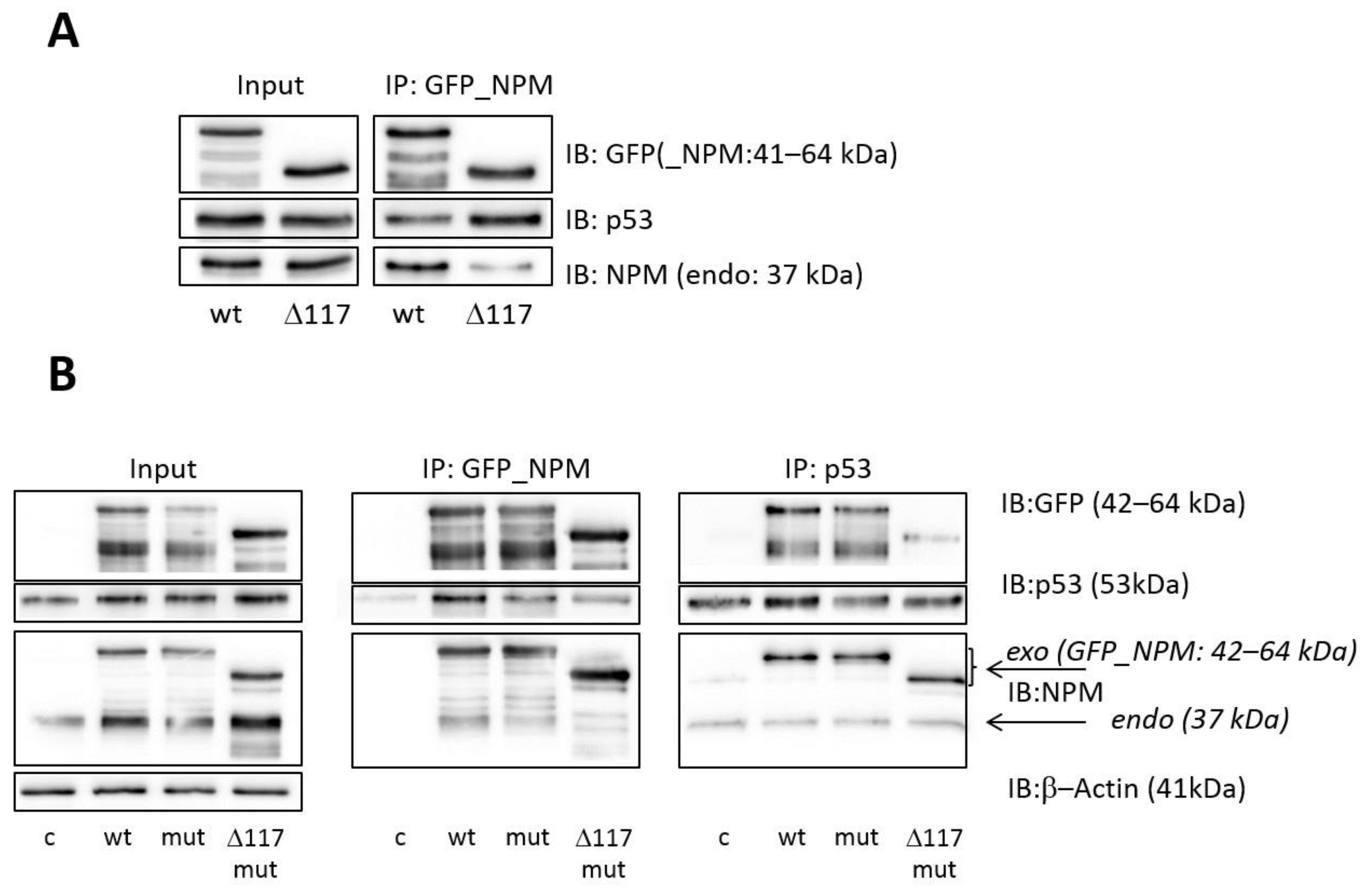Cancers 13 03266 g004