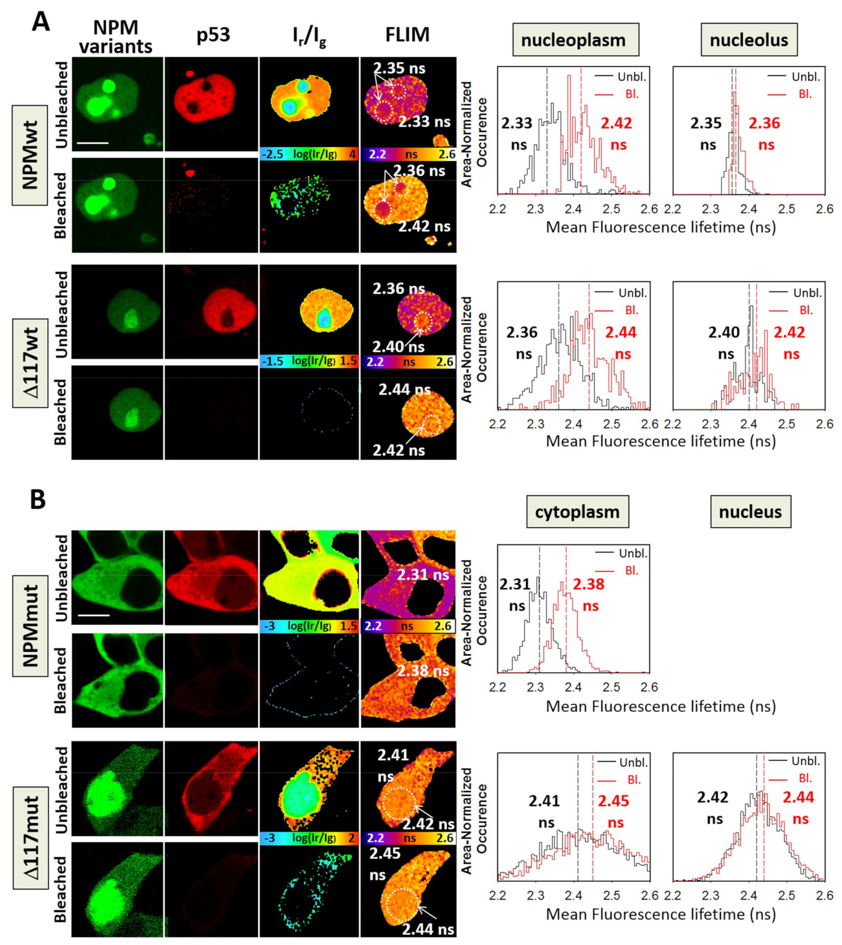 Cancers 13 03266 g005