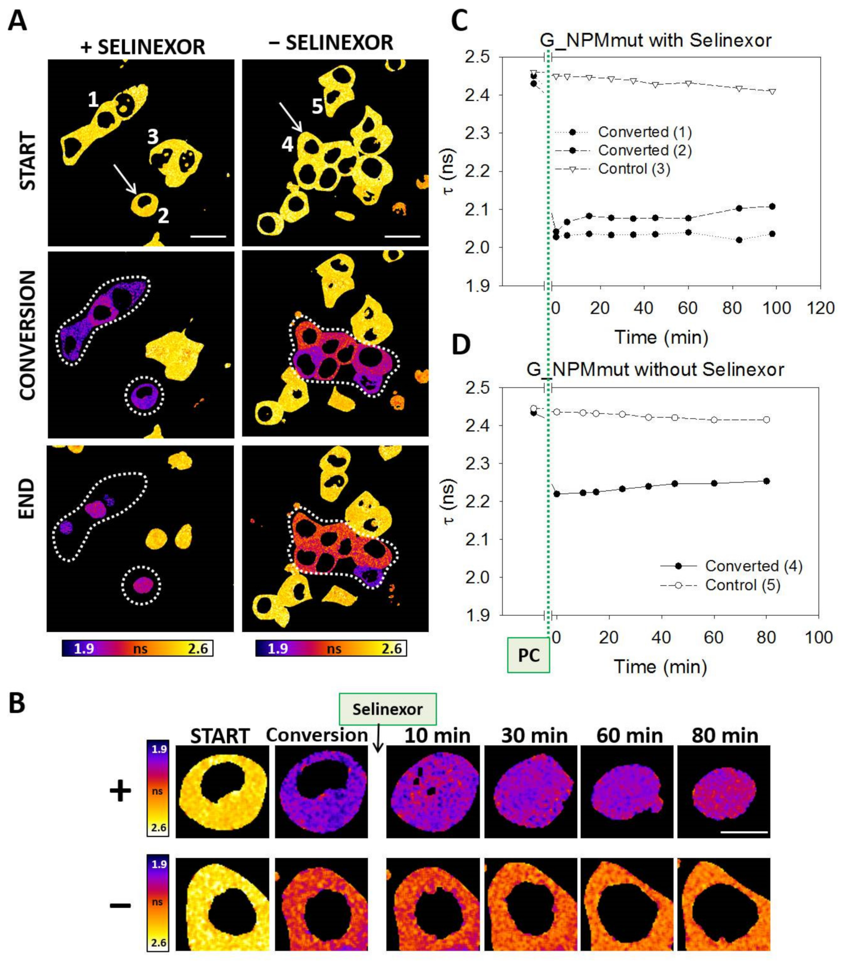 Cancers 13 03266 g006