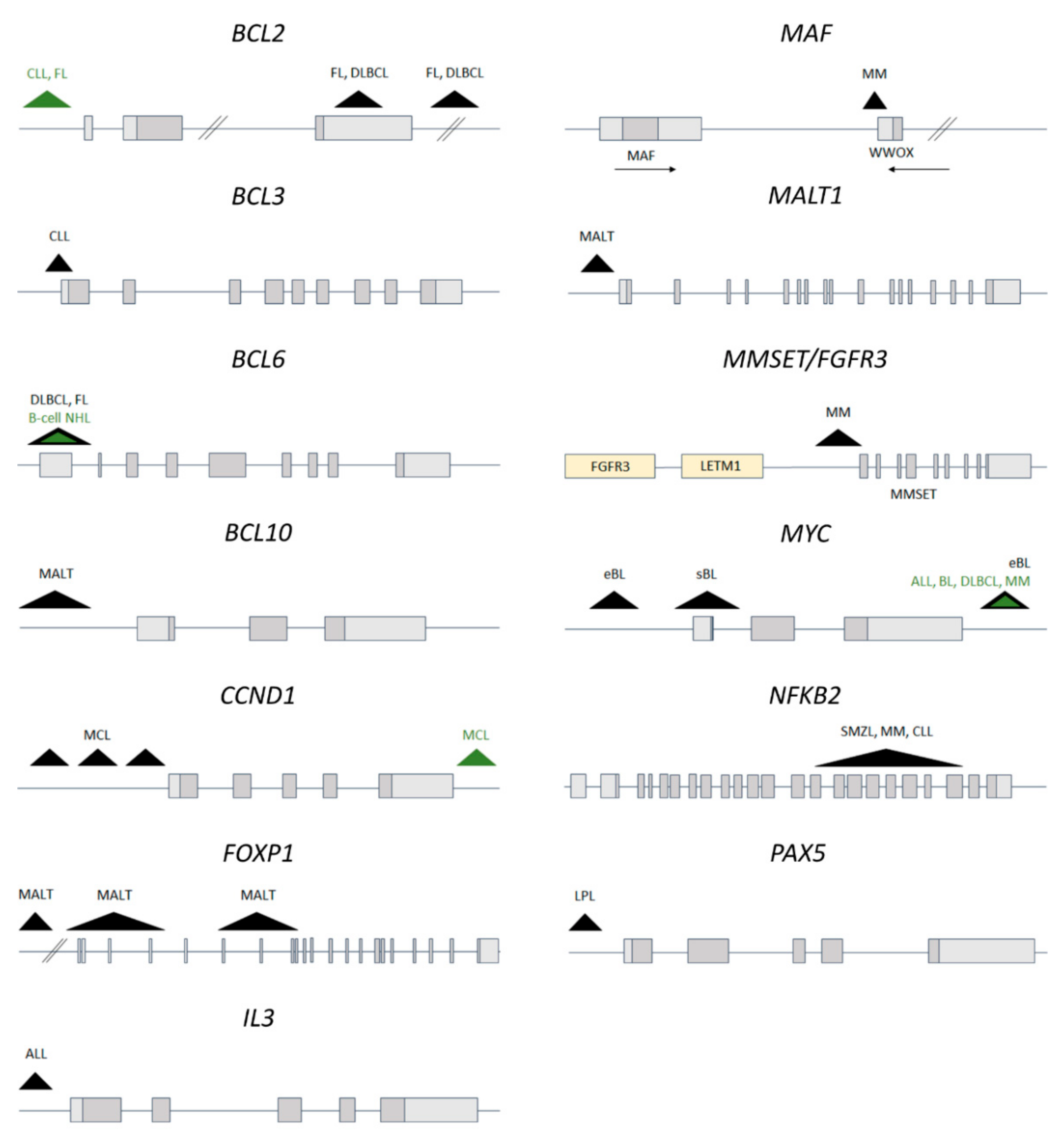 Cancers 13 03270 g002