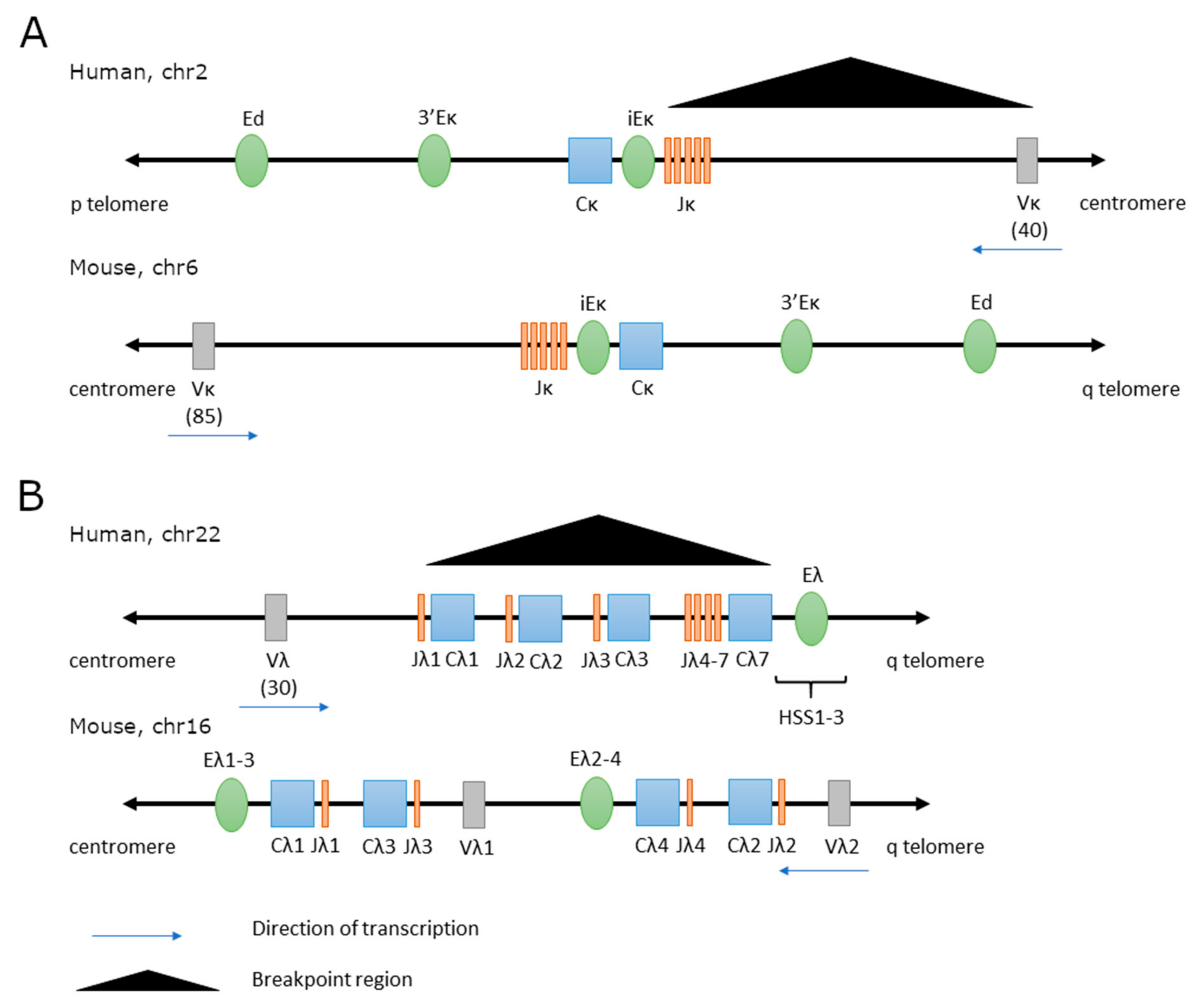 Cancers 13 03270 g003
