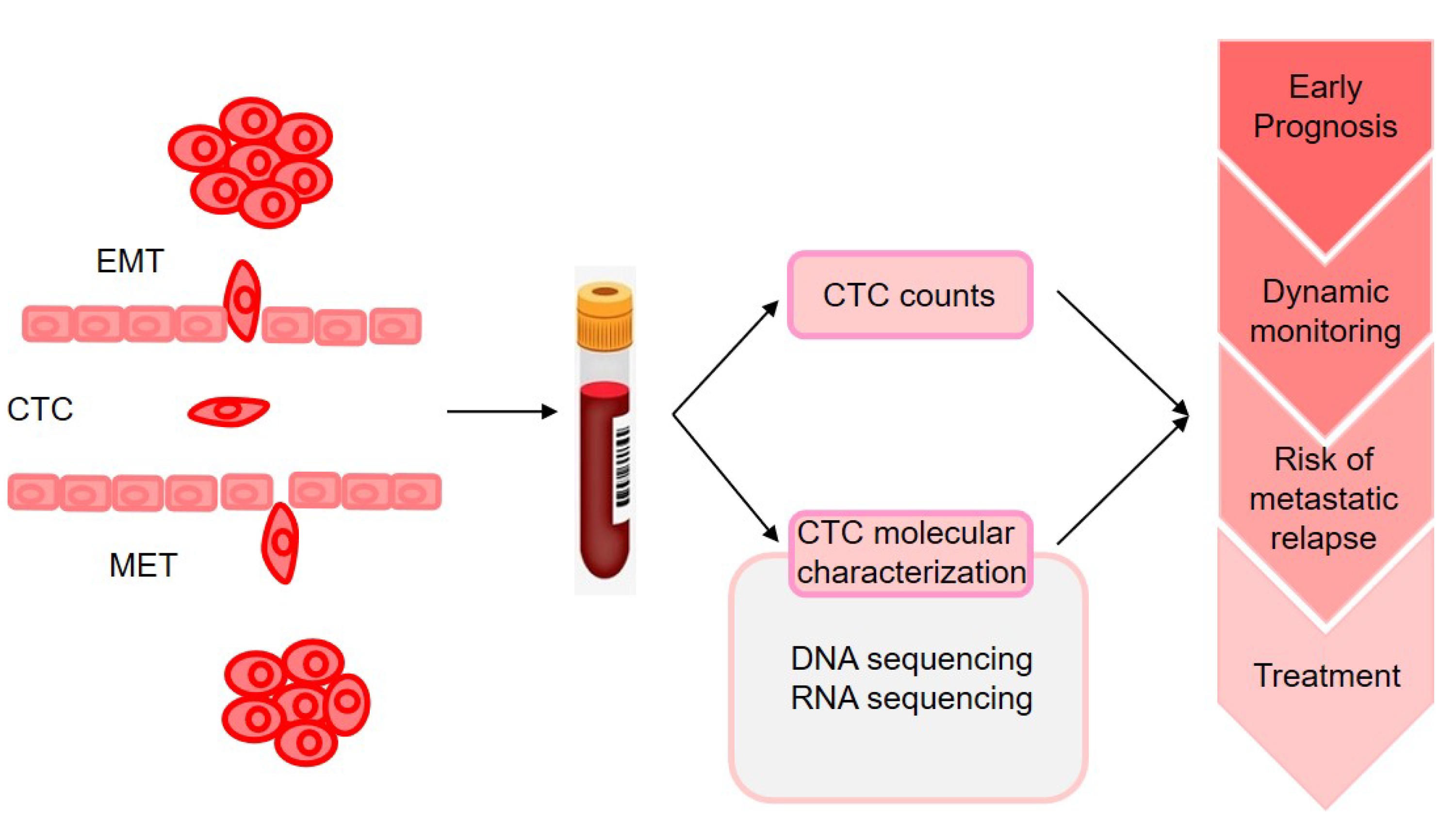 Cancers 13 03276 g002 Cancers 13 03276 g002