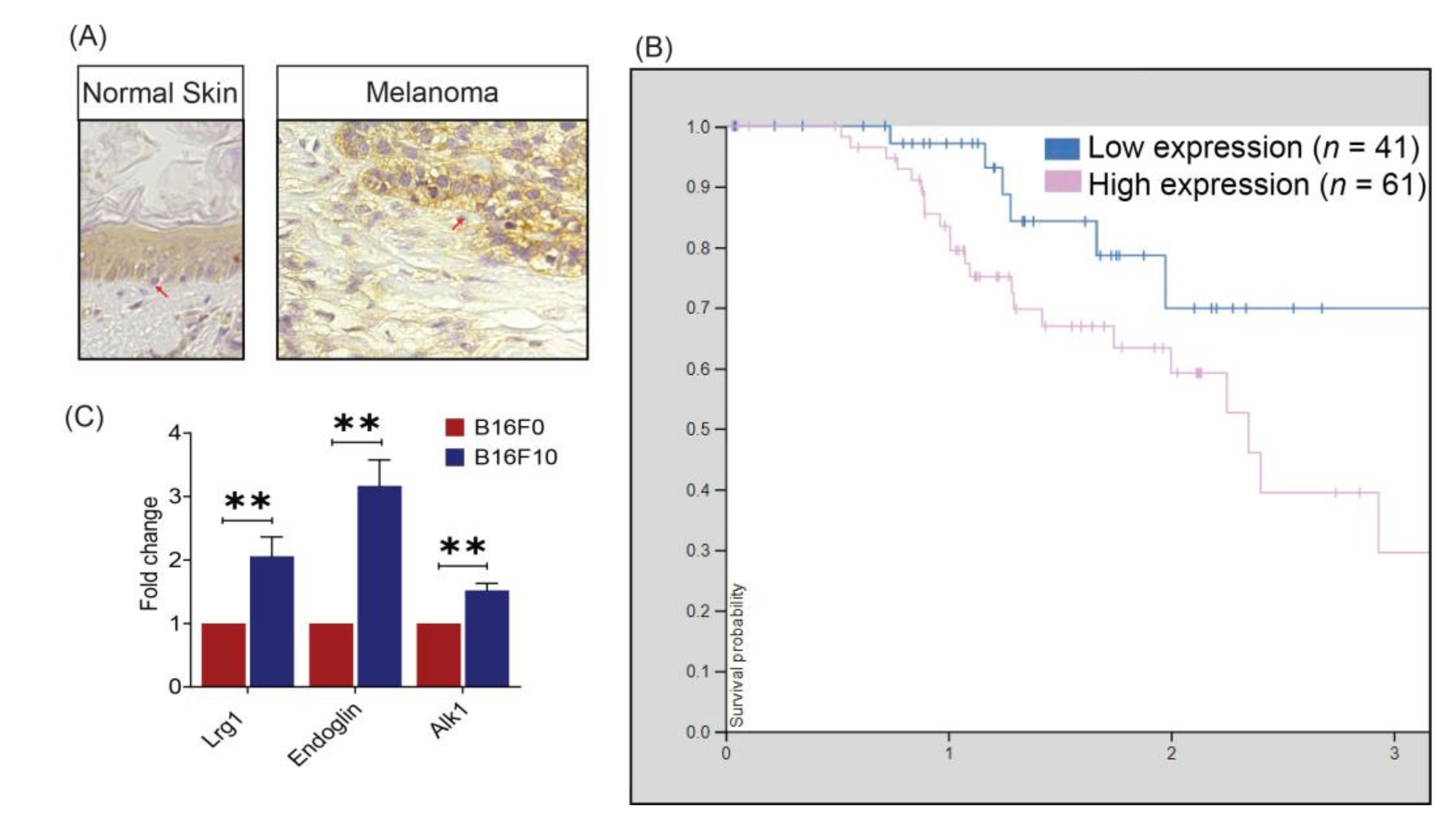 Cancers 13 03279 g001 550
