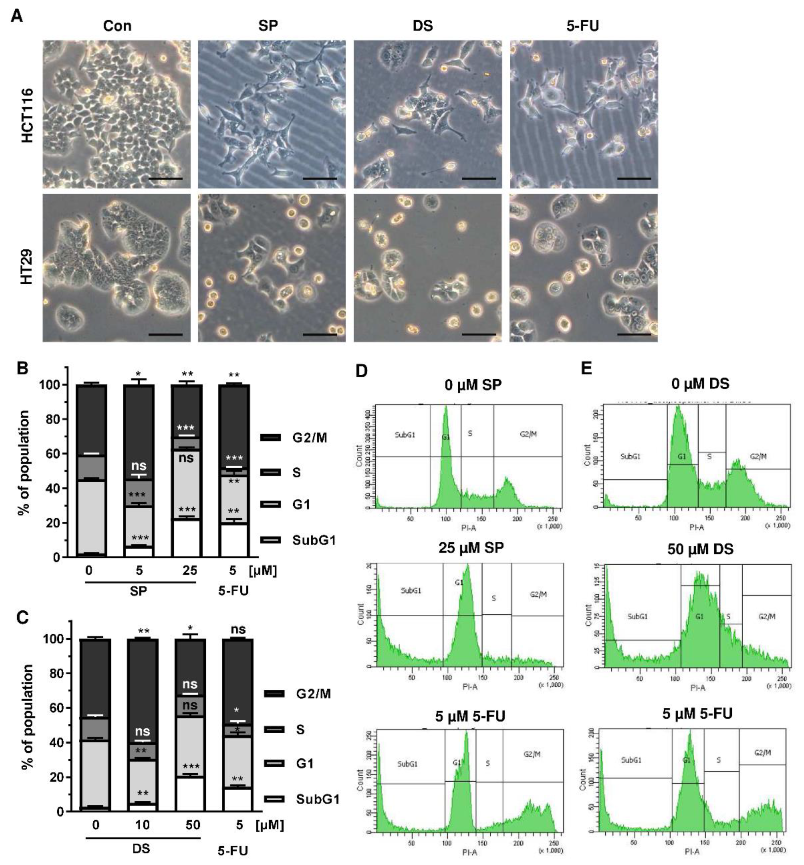 Cancers 13 03282 g005