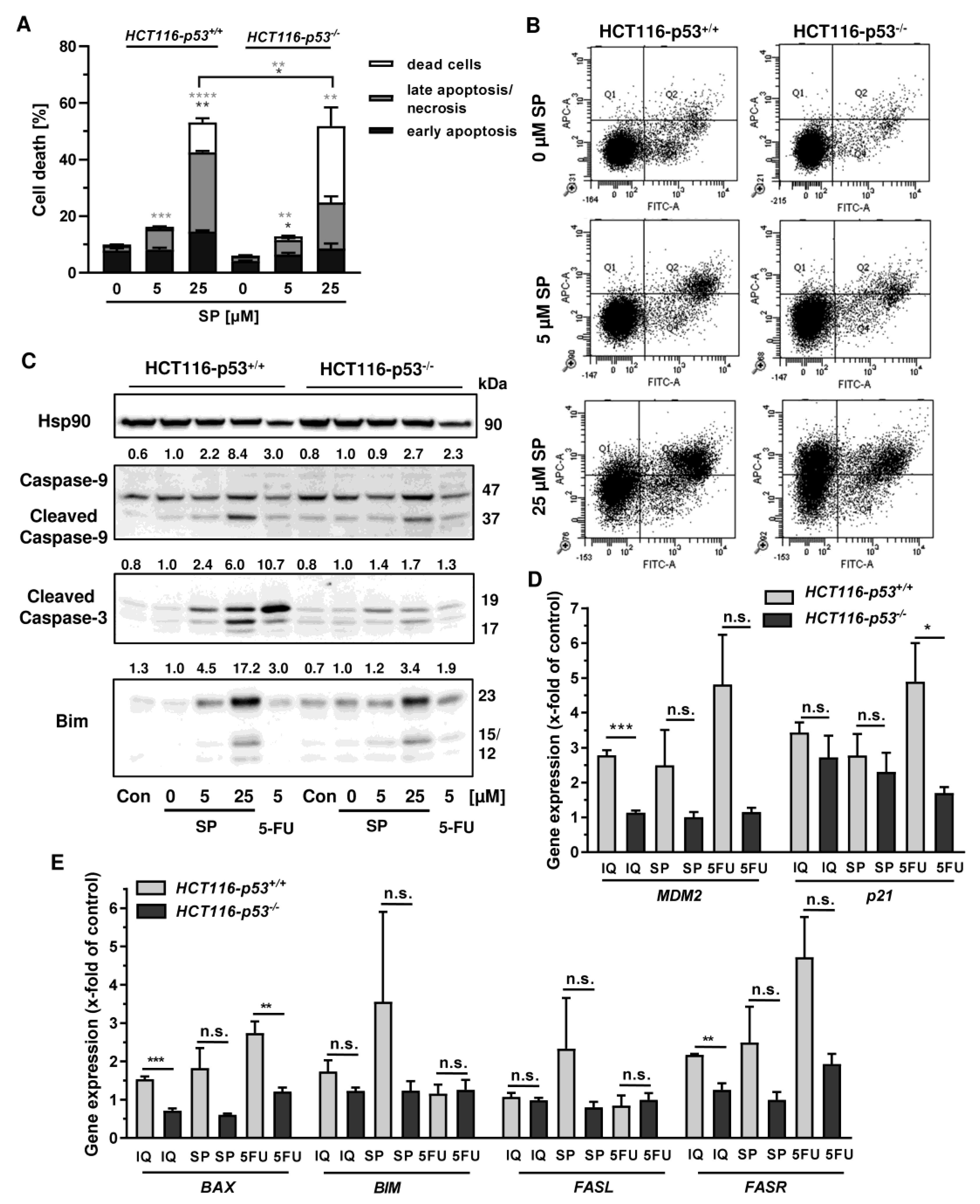 Cancers 13 03282 g006